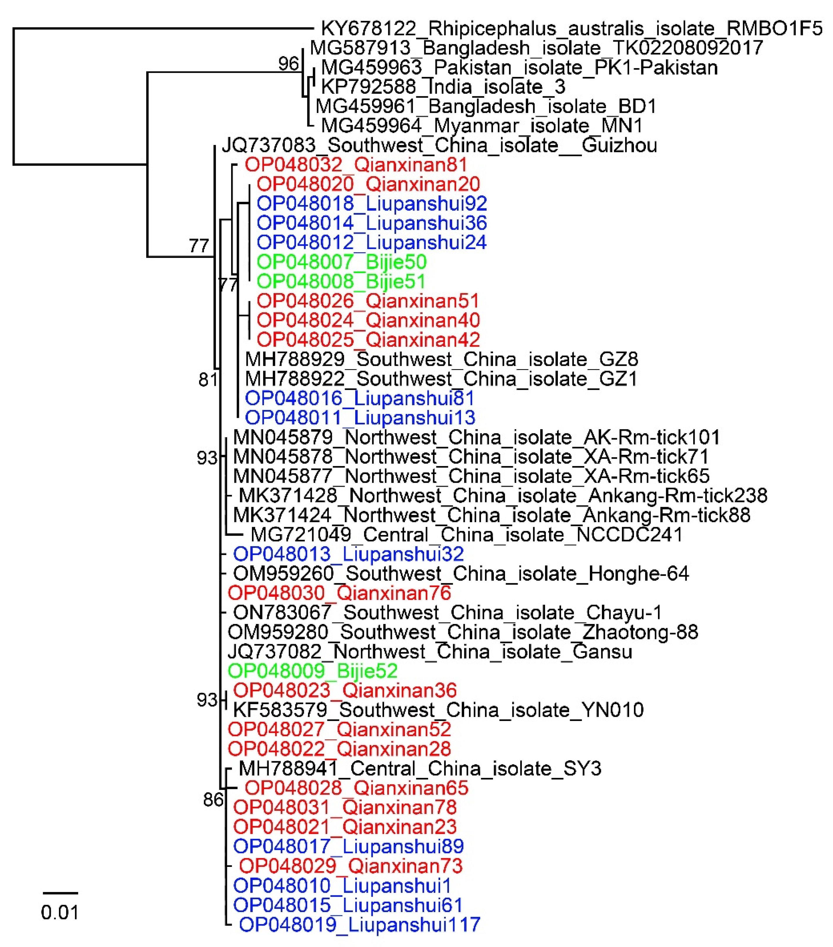 Pathogens 11 01108 g001