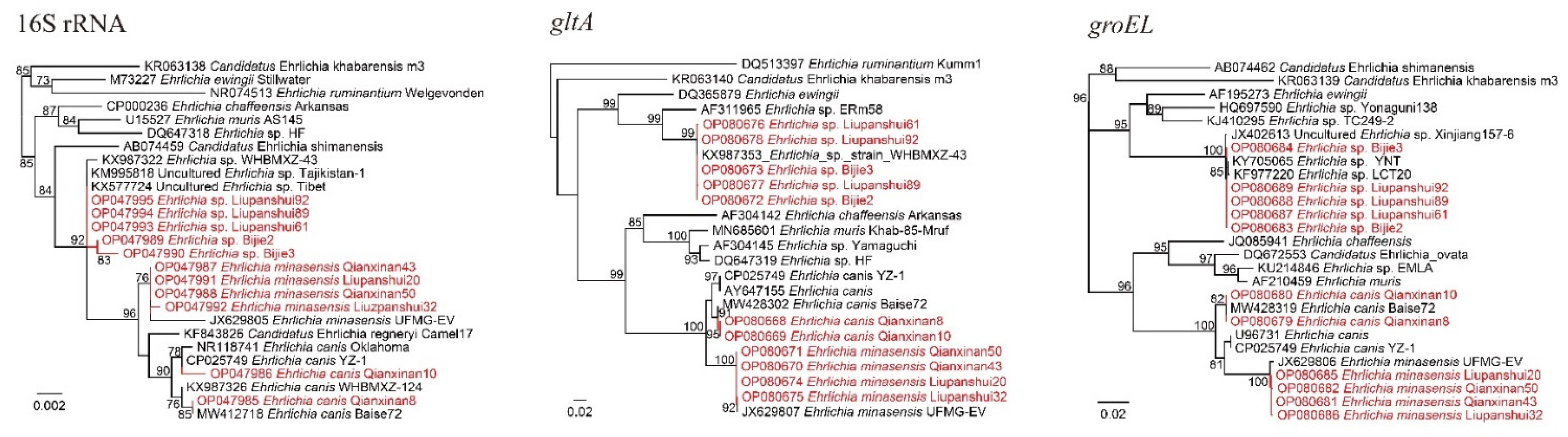 Pathogens 11 01108 g003