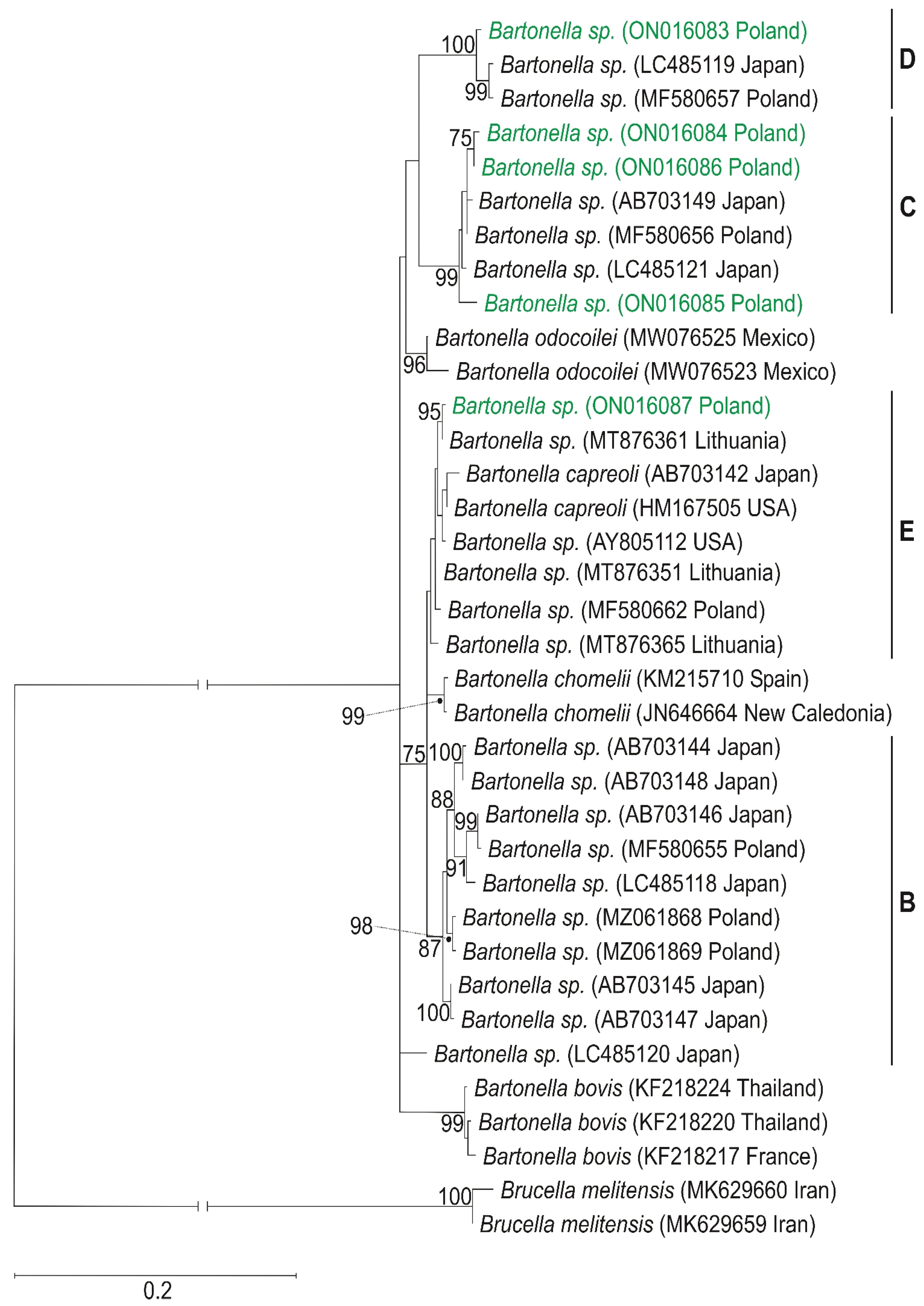 Pathogens 11 01111 g001 Pathogens 11 01111 g001