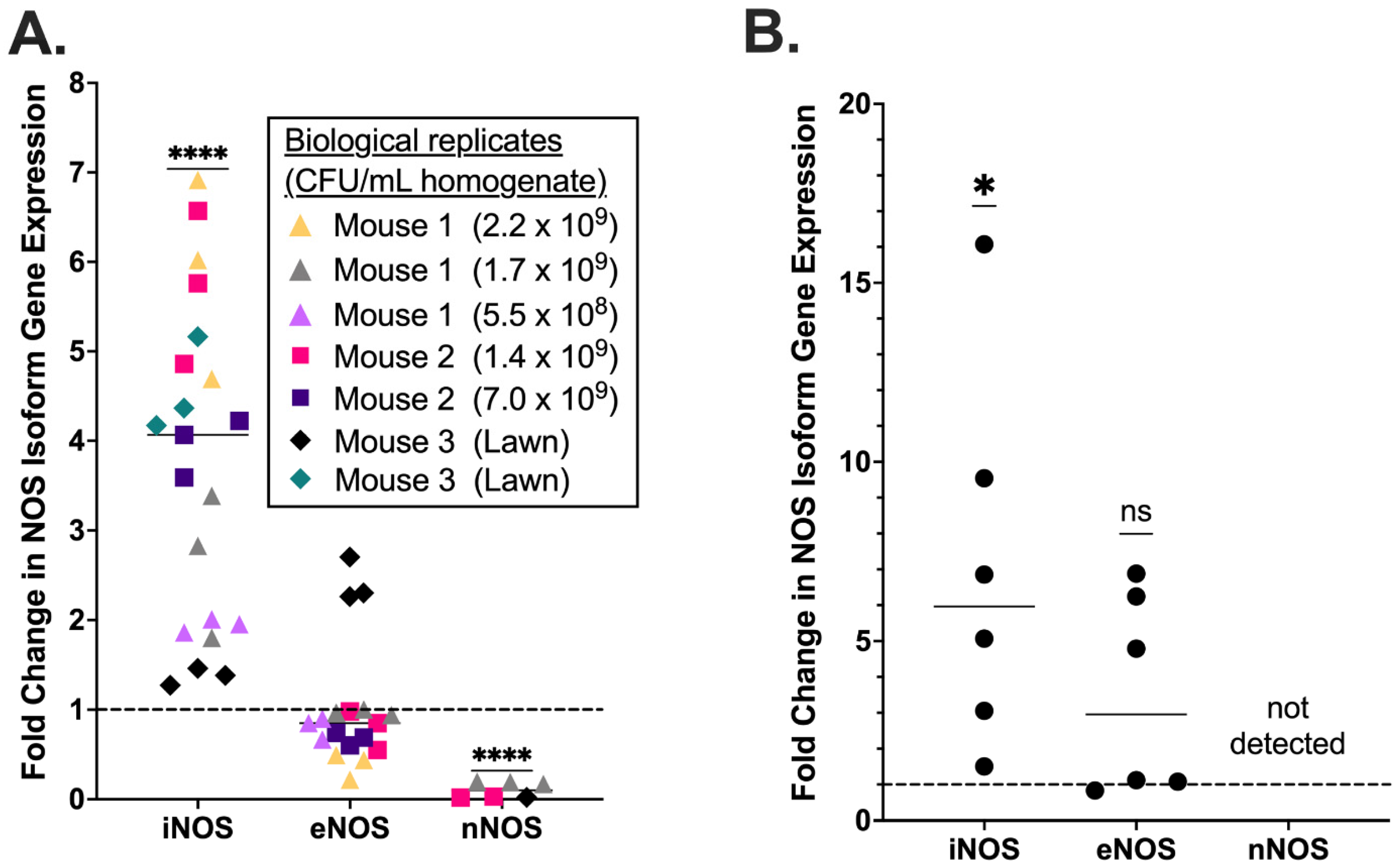 Pathogens 11 01115 g002