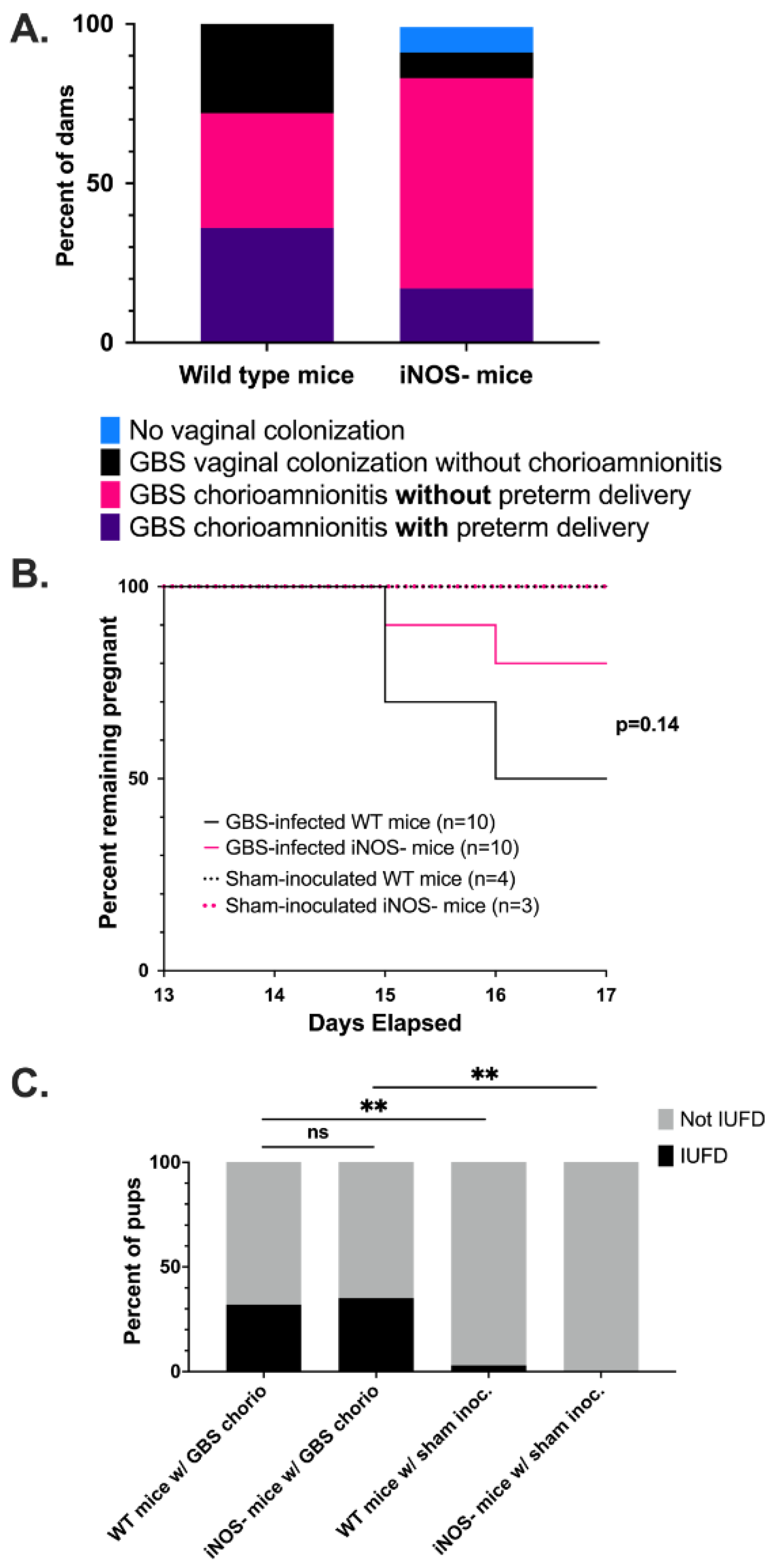 Pathogens 11 01115 g004