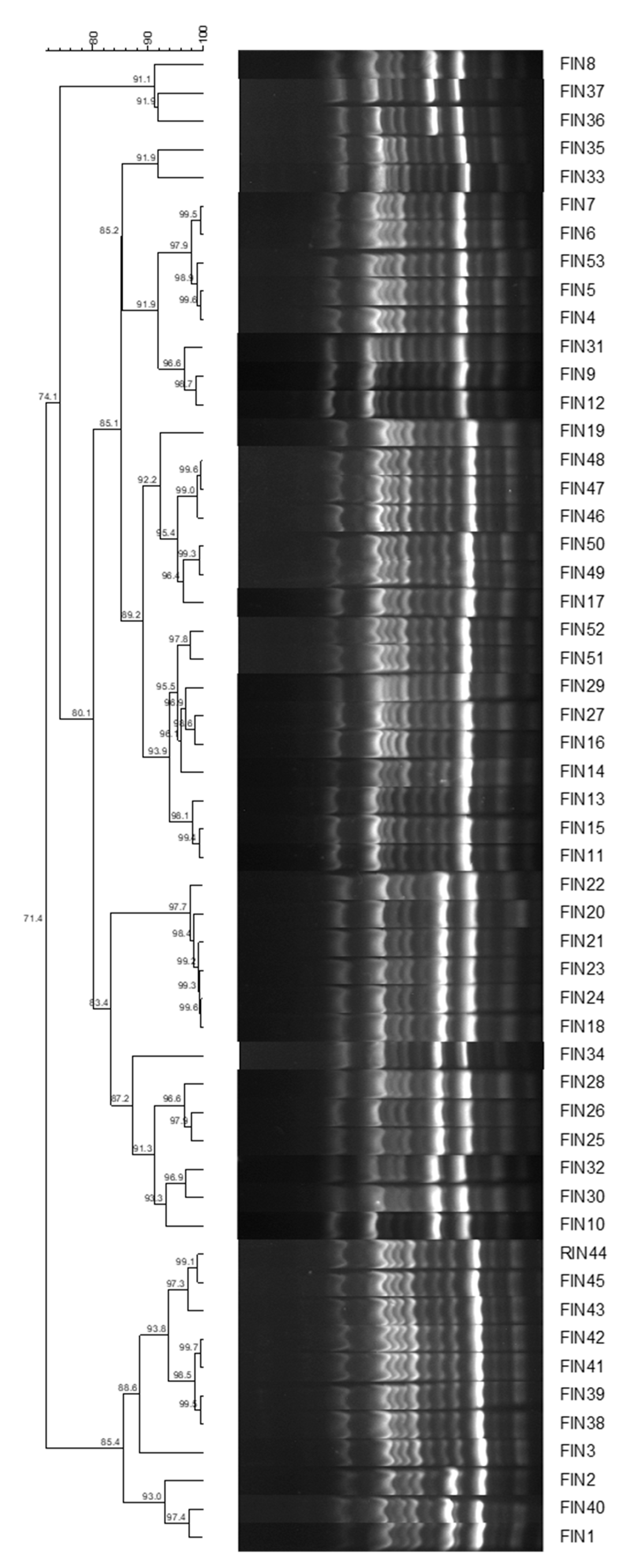 Pathogens 11 01126 g001