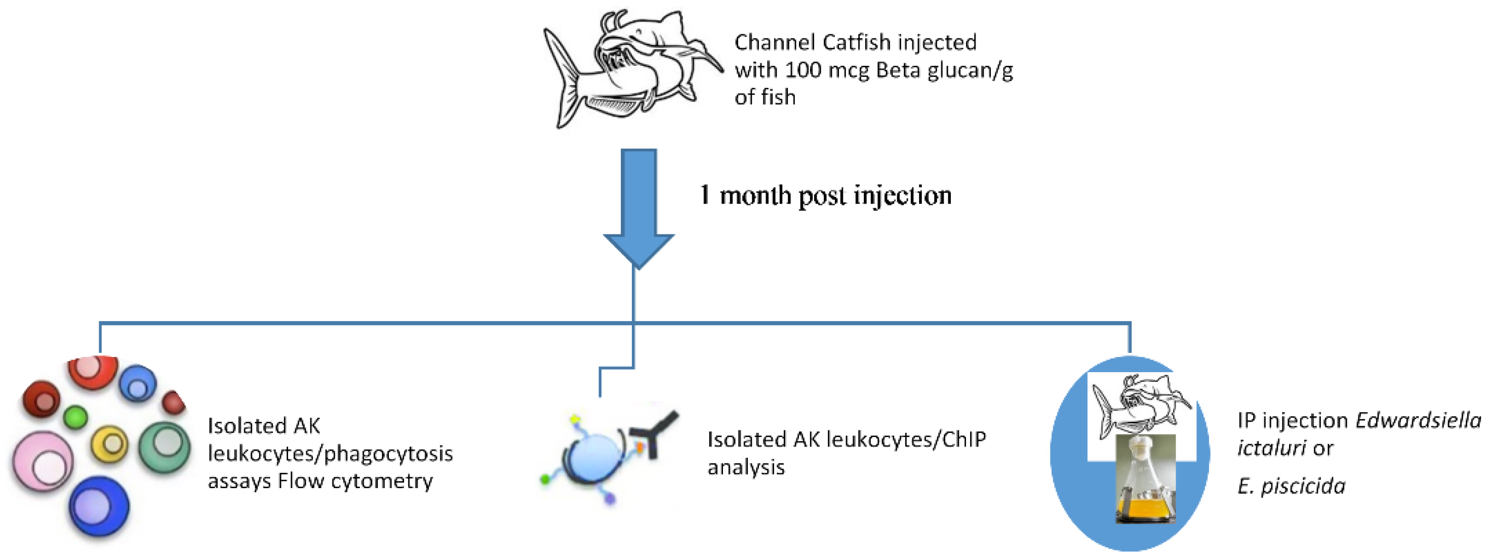 Pathogens 11 01140 g004 Pathogens 11 01140 g004