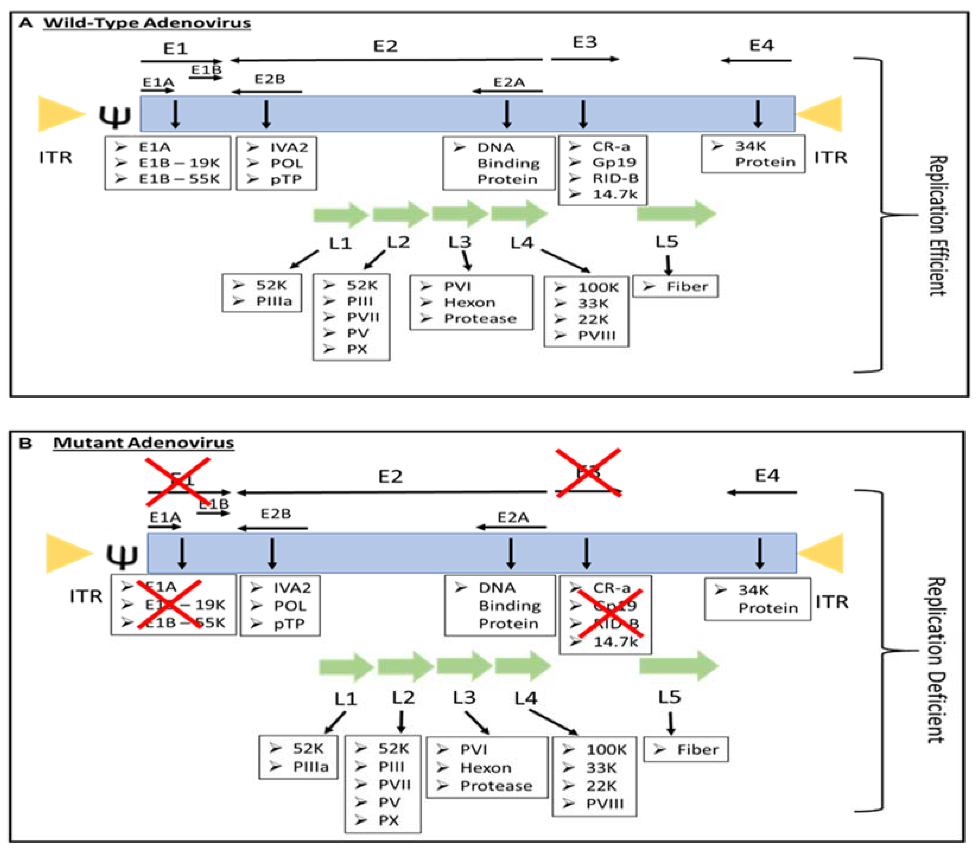 Pathogens 11 01146 g001