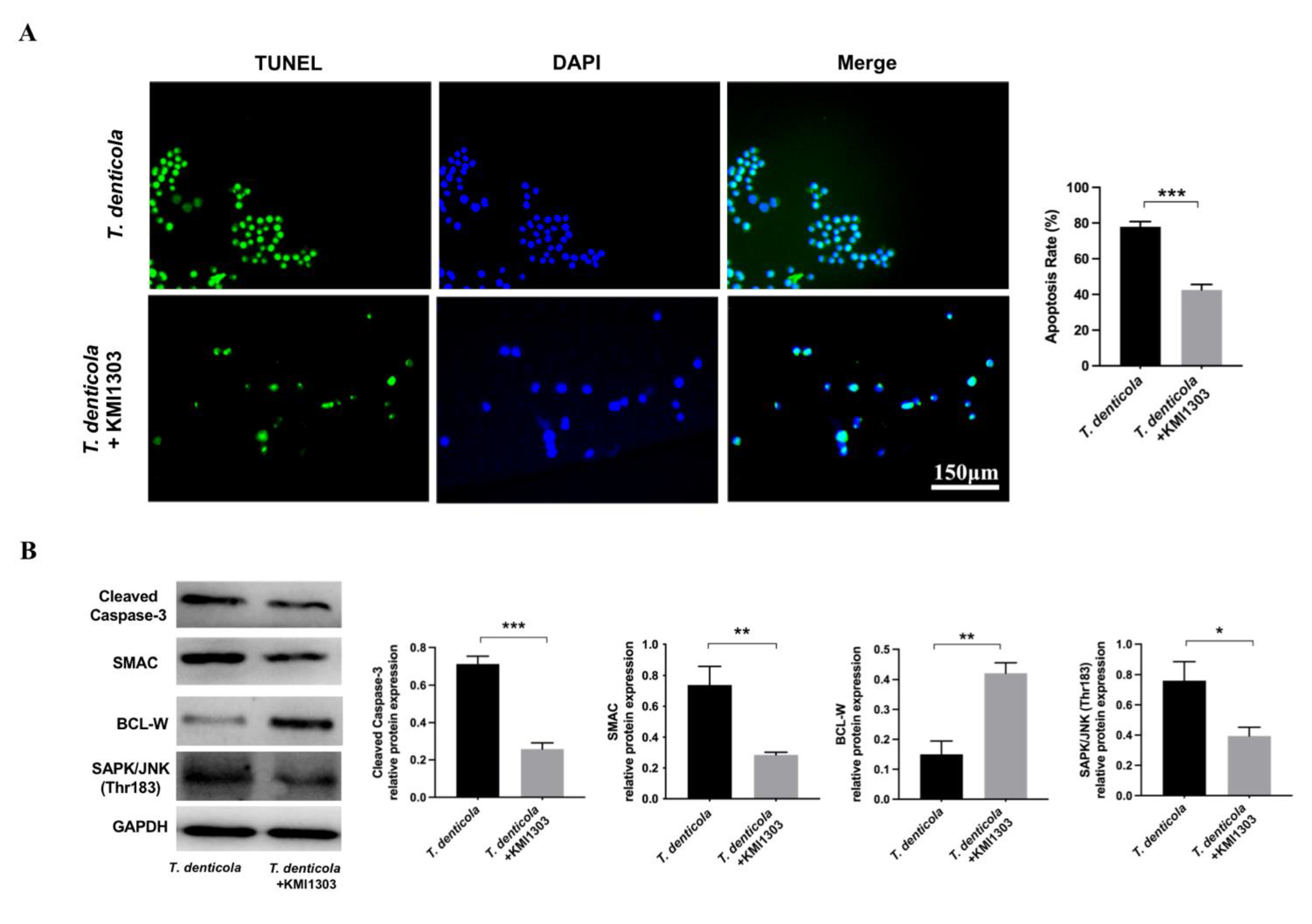 Pathogens 11 01150 g004