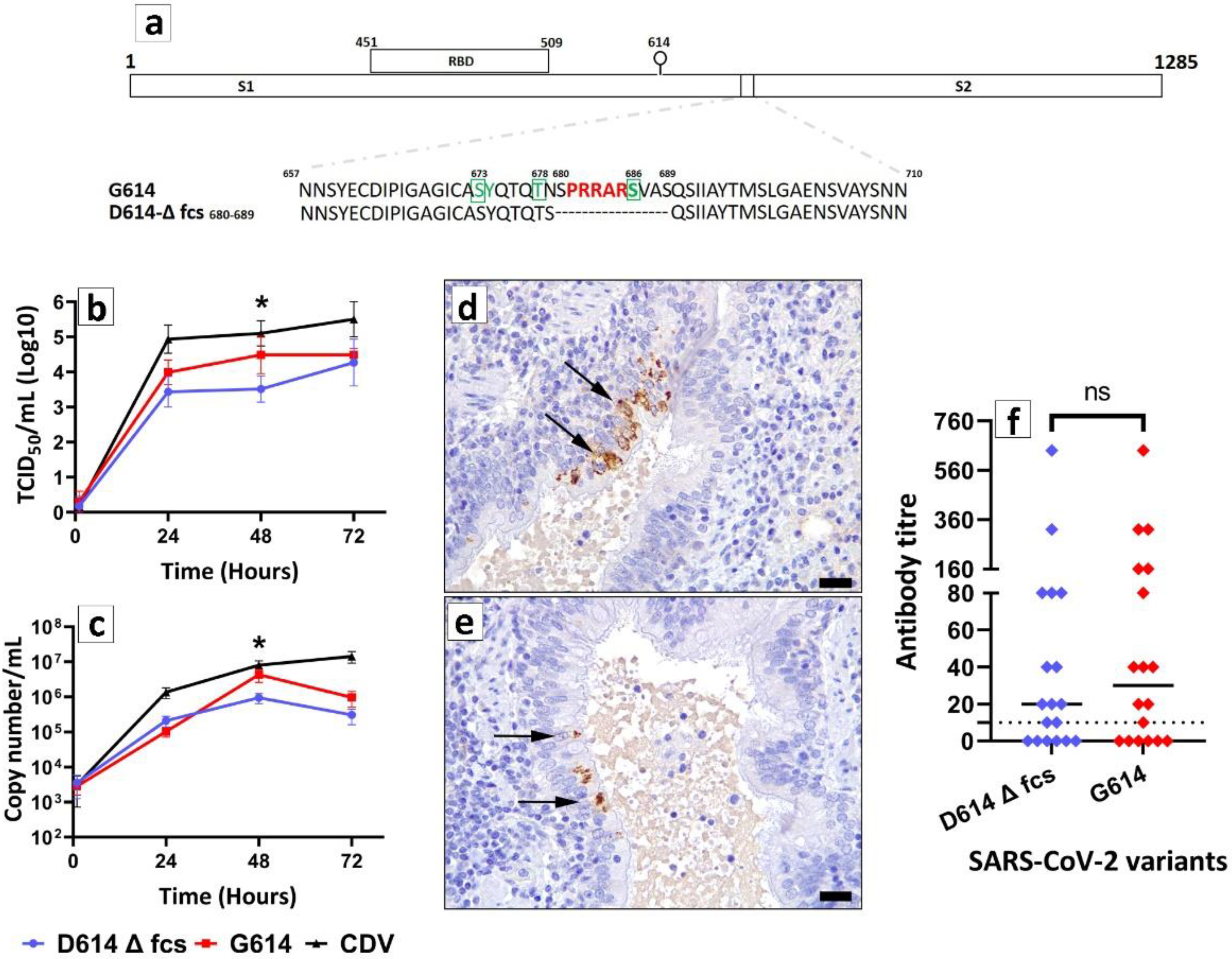 Pathogens 11 01152 g001