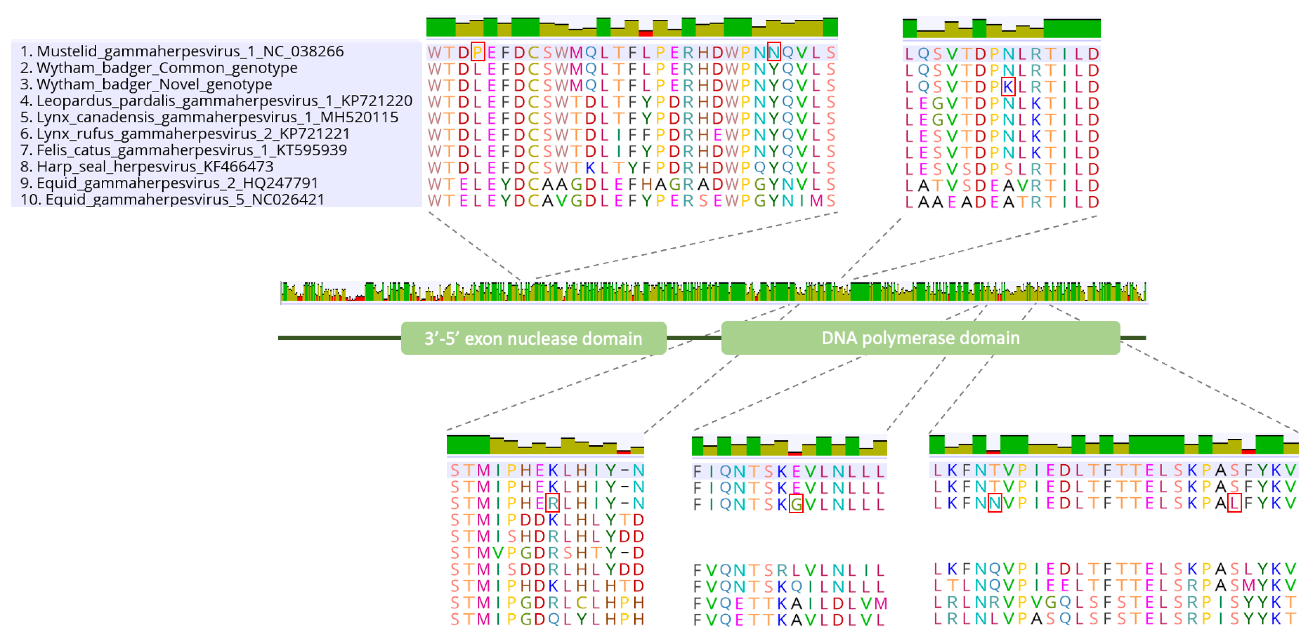 Pathogens 11 01154 g001 Pathogens 11 01154 g001