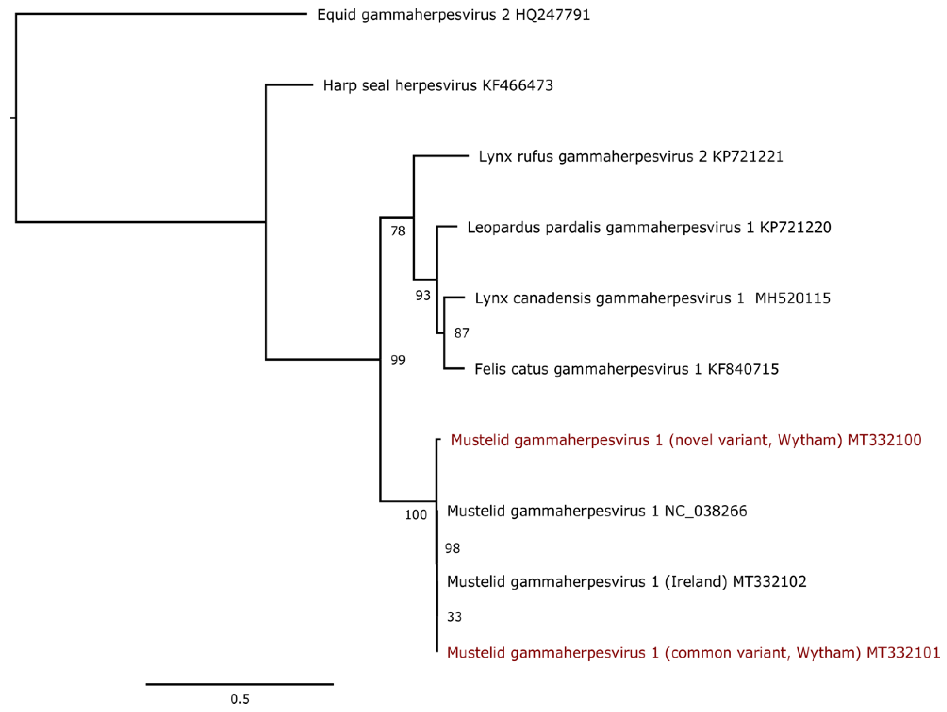 Pathogens 11 01154 g002 Pathogens 11 01154 g002