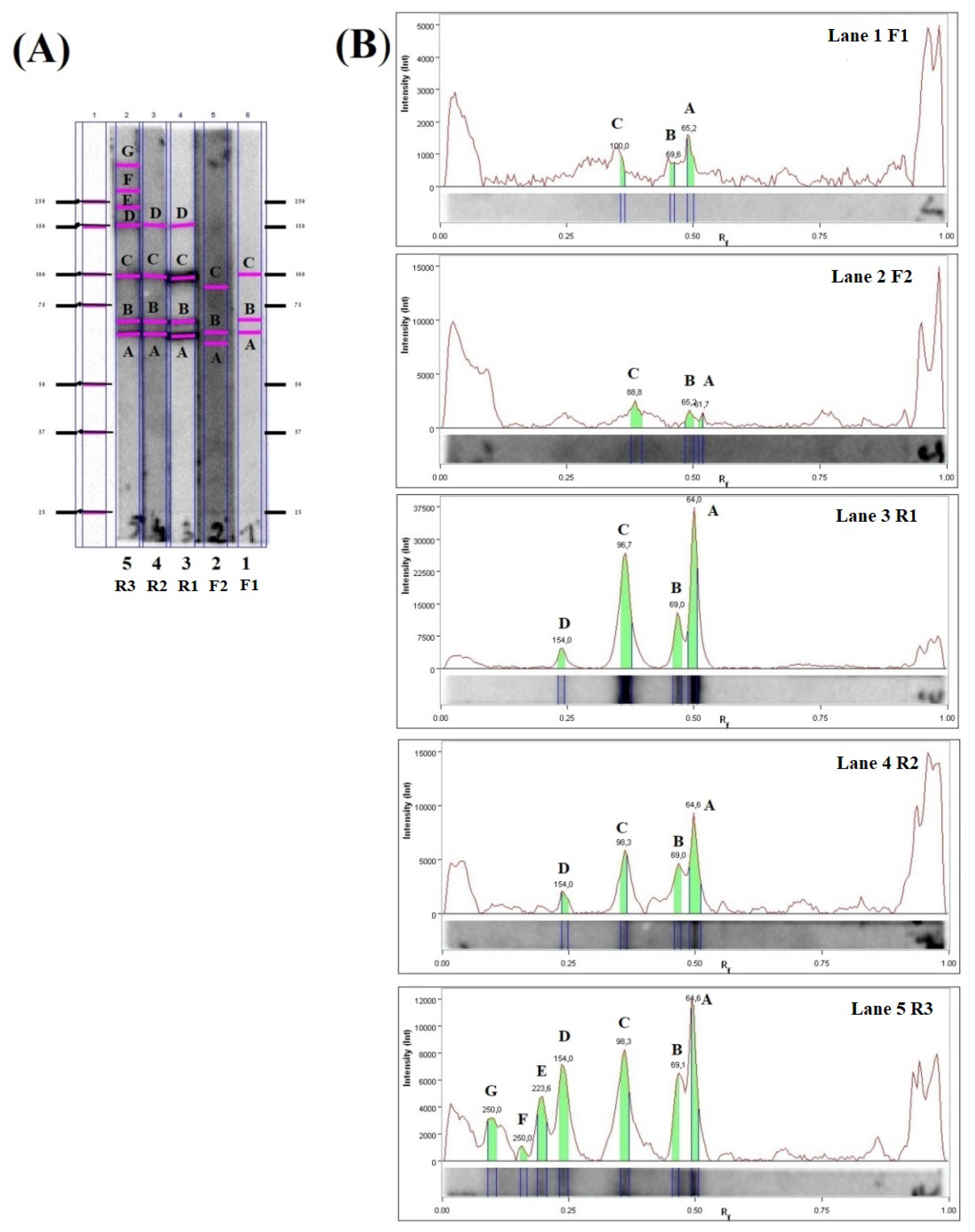 Pathogens 11 01155 g002