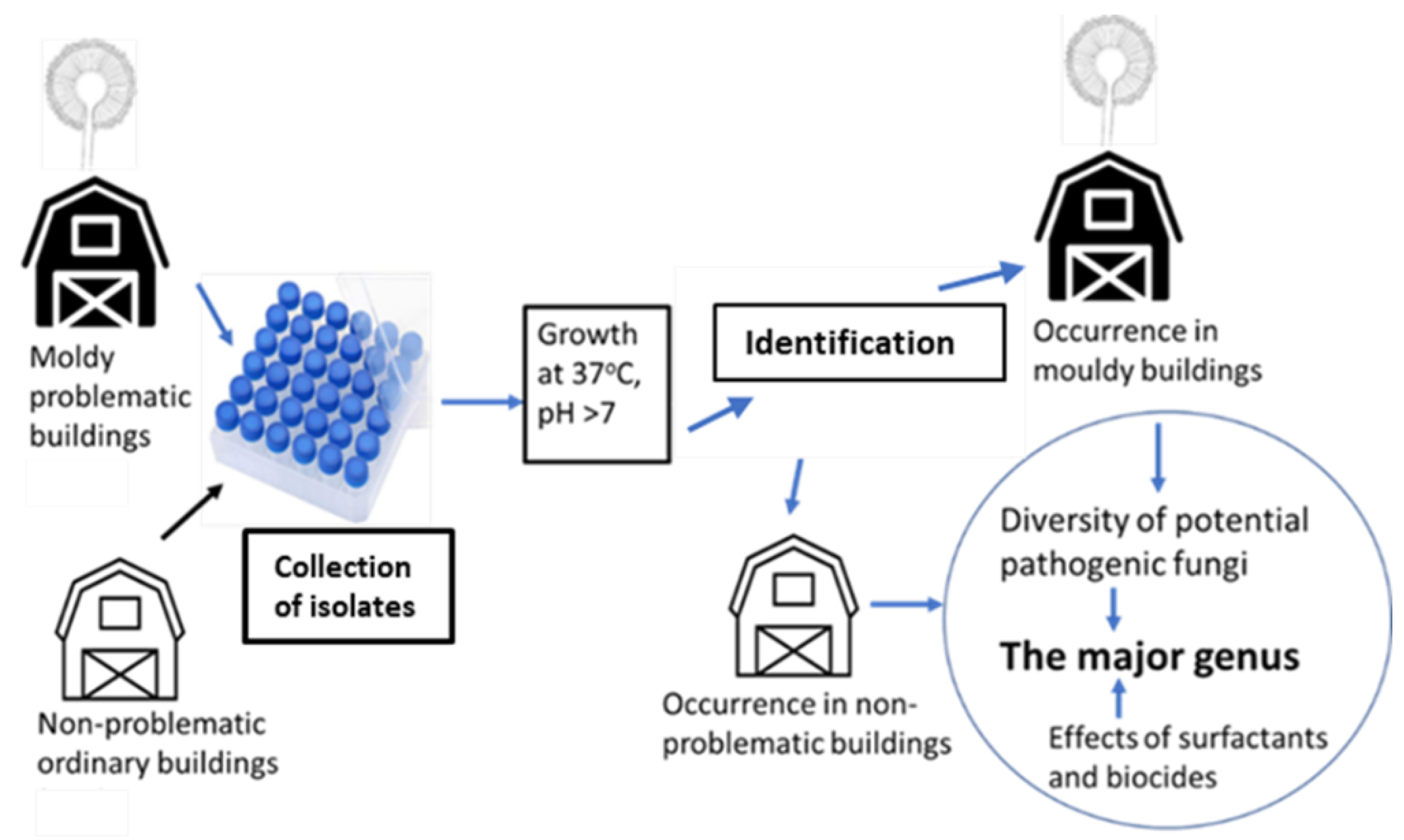 Pathogens 11 01171 g003 Pathogens 11 01171 g003