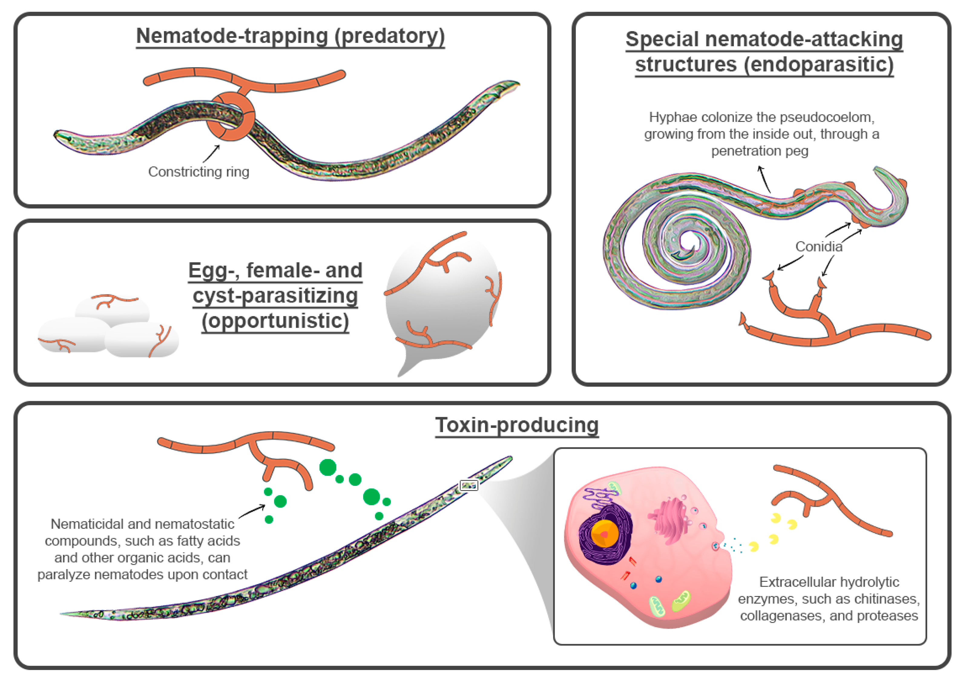 Pathogens 11 01178 g001