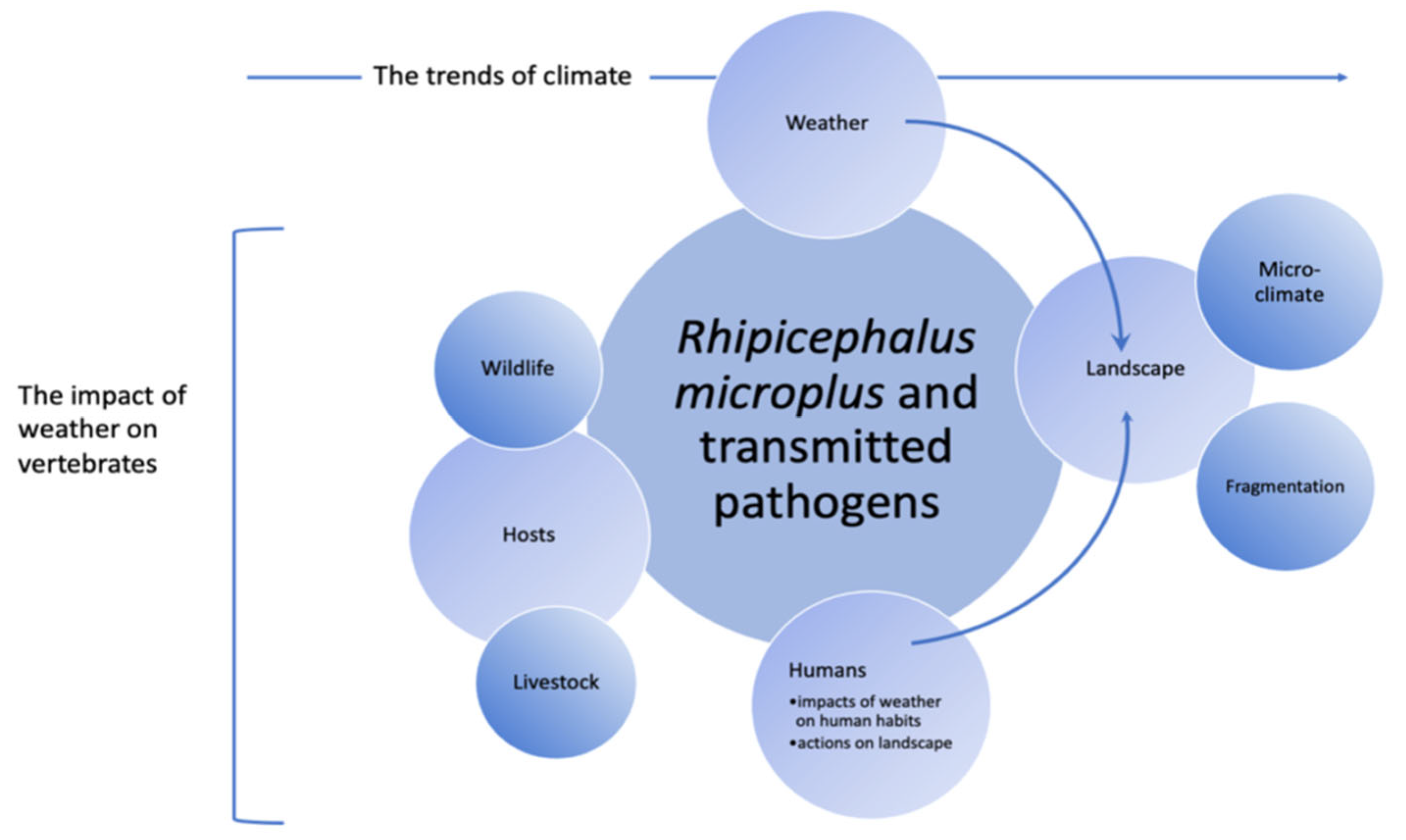 Pathogens 11 01180 g001