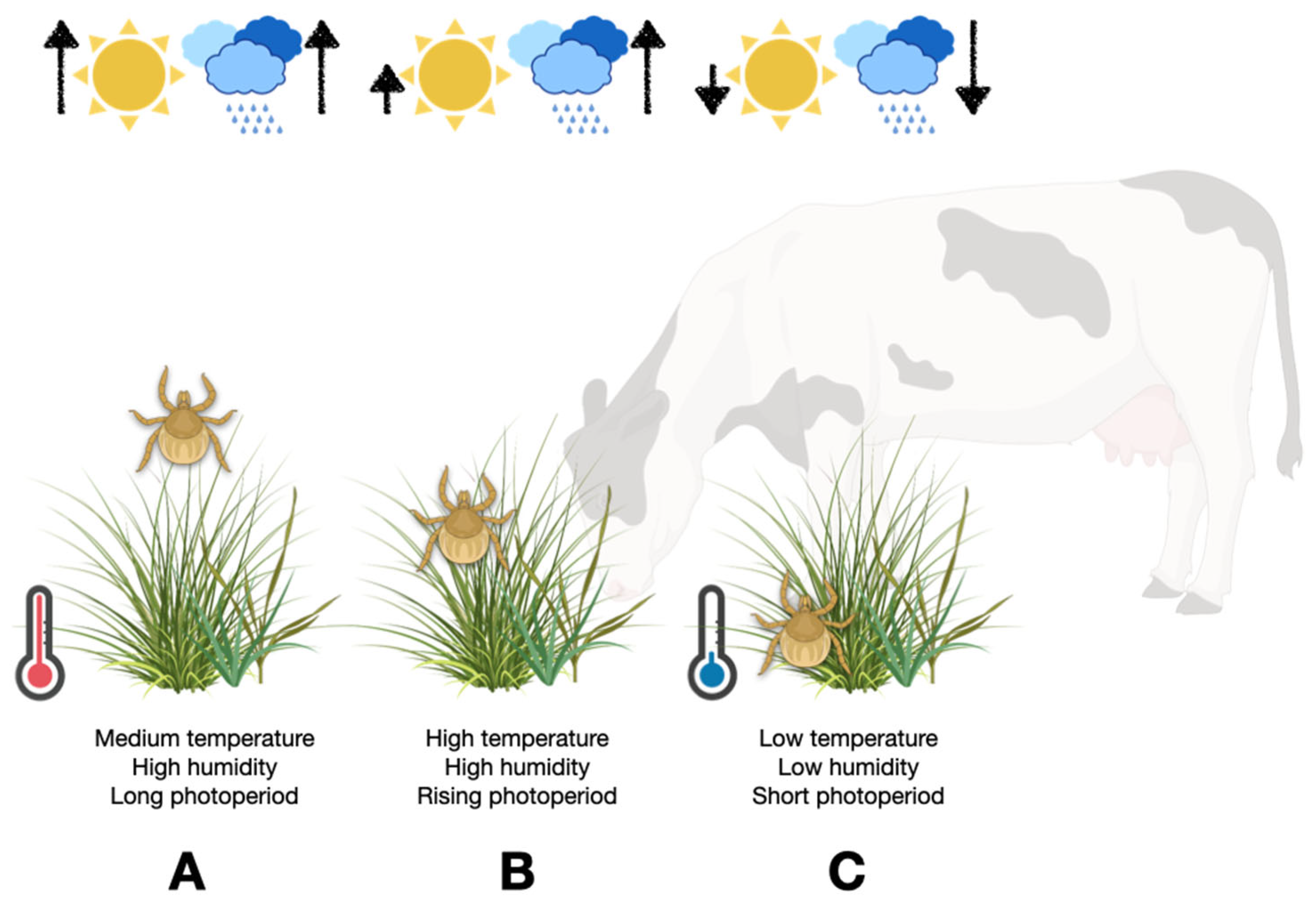 Pathogens 11 01180 g002