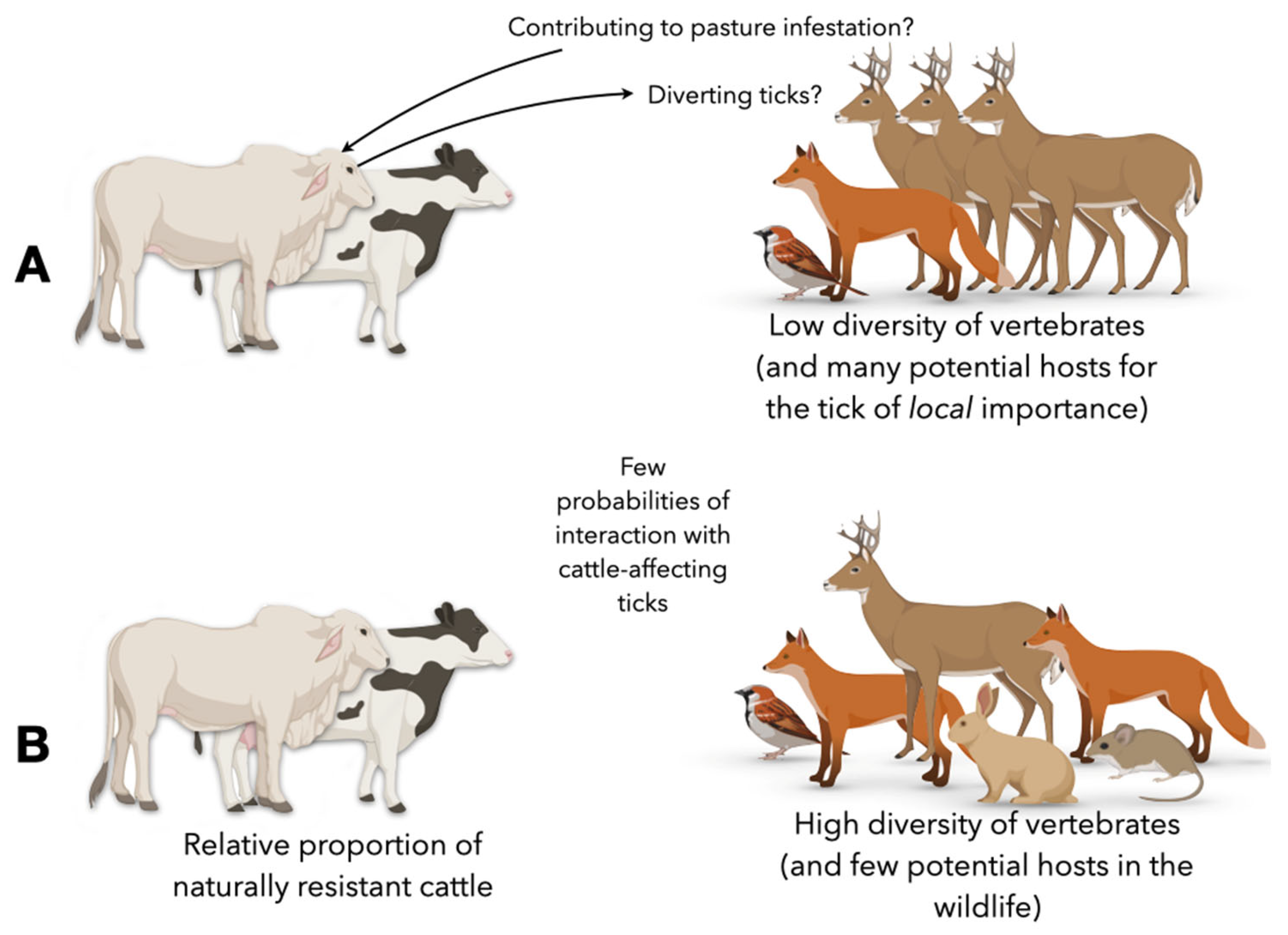 Pathogens 11 01180 g003