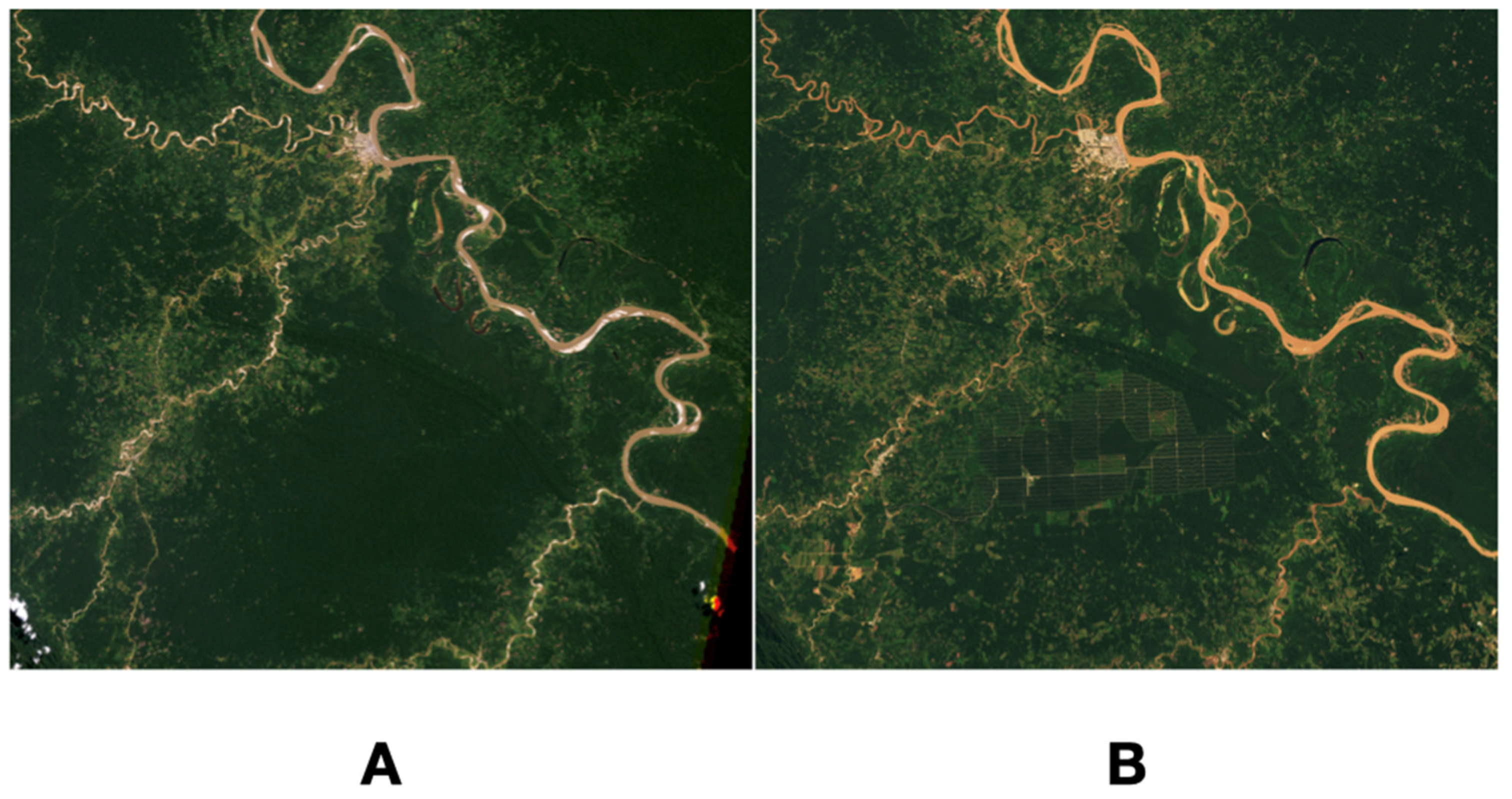 Pathogens 11 01180 g004