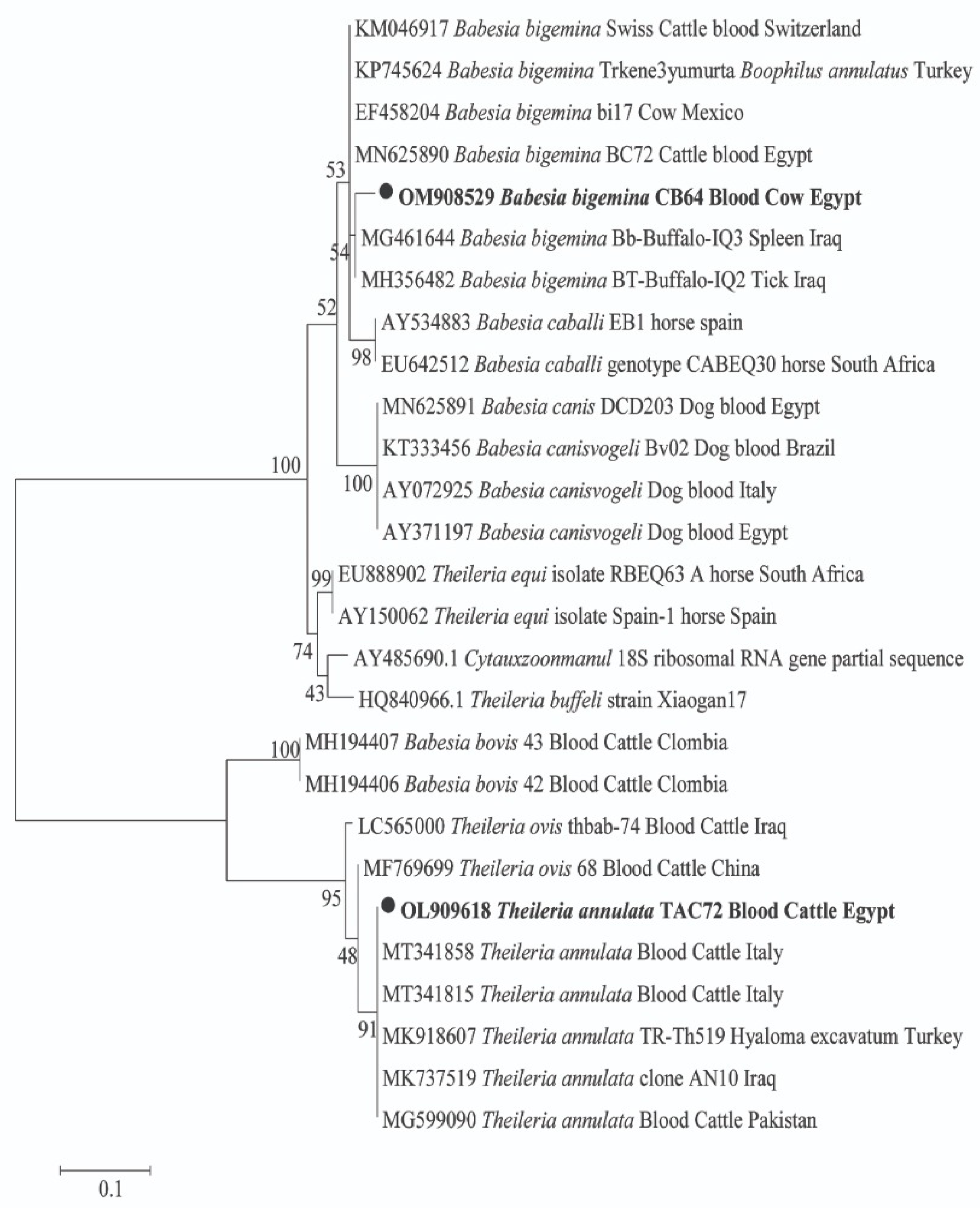 Pathogens 11 01194 g001