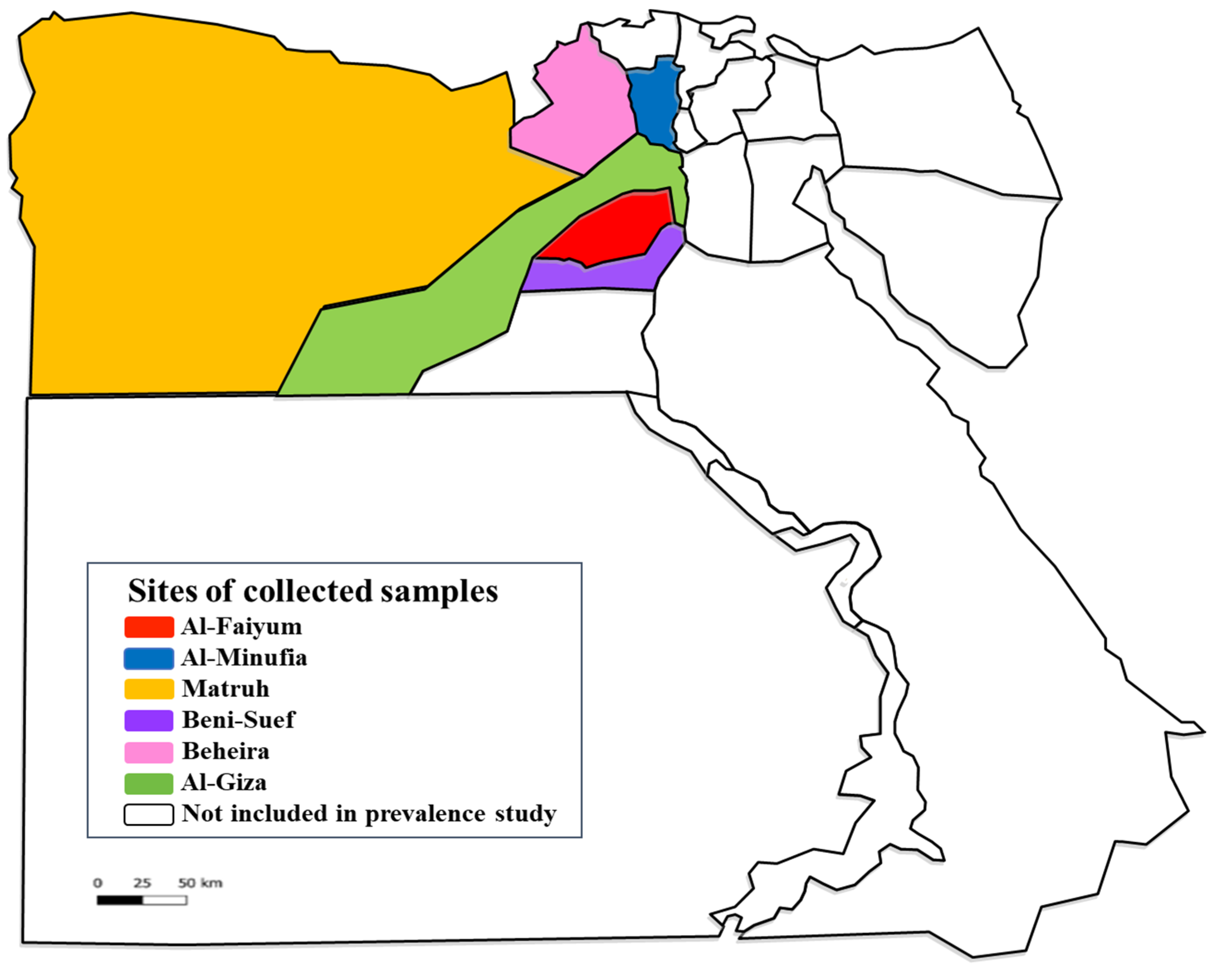 Pathogens 11 01194 g003