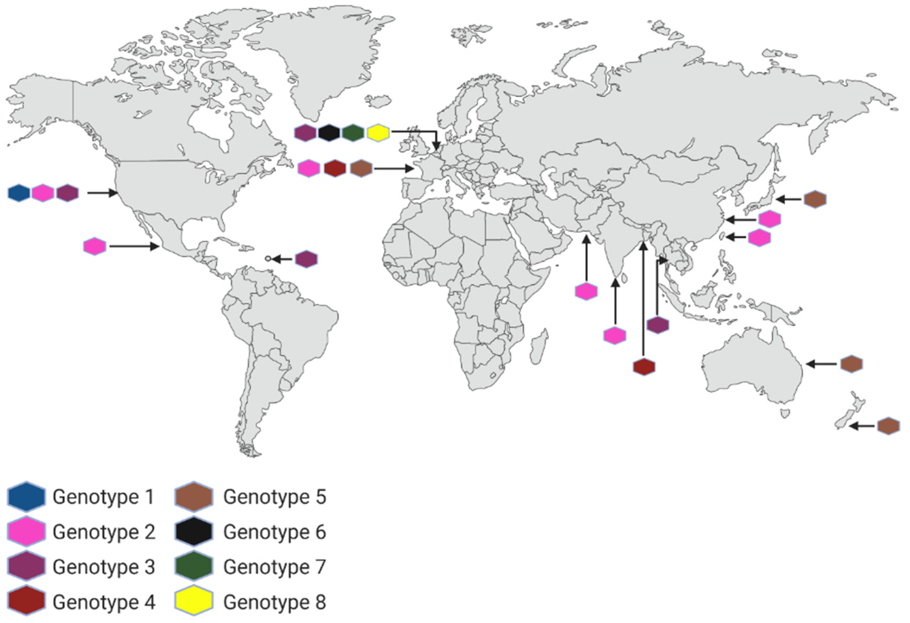 Pathogens 11 01199 g001
