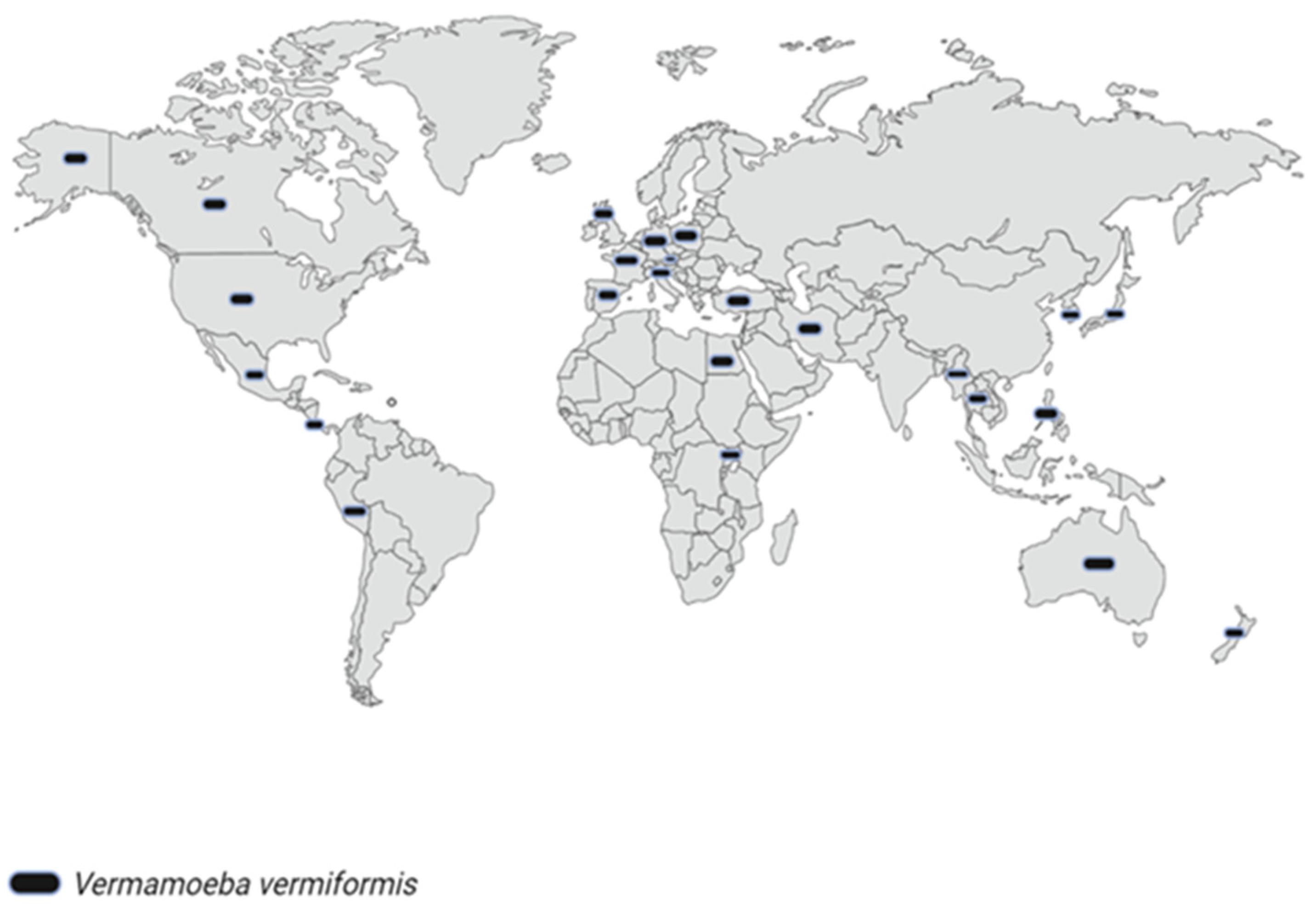 Pathogens 11 01199 g004