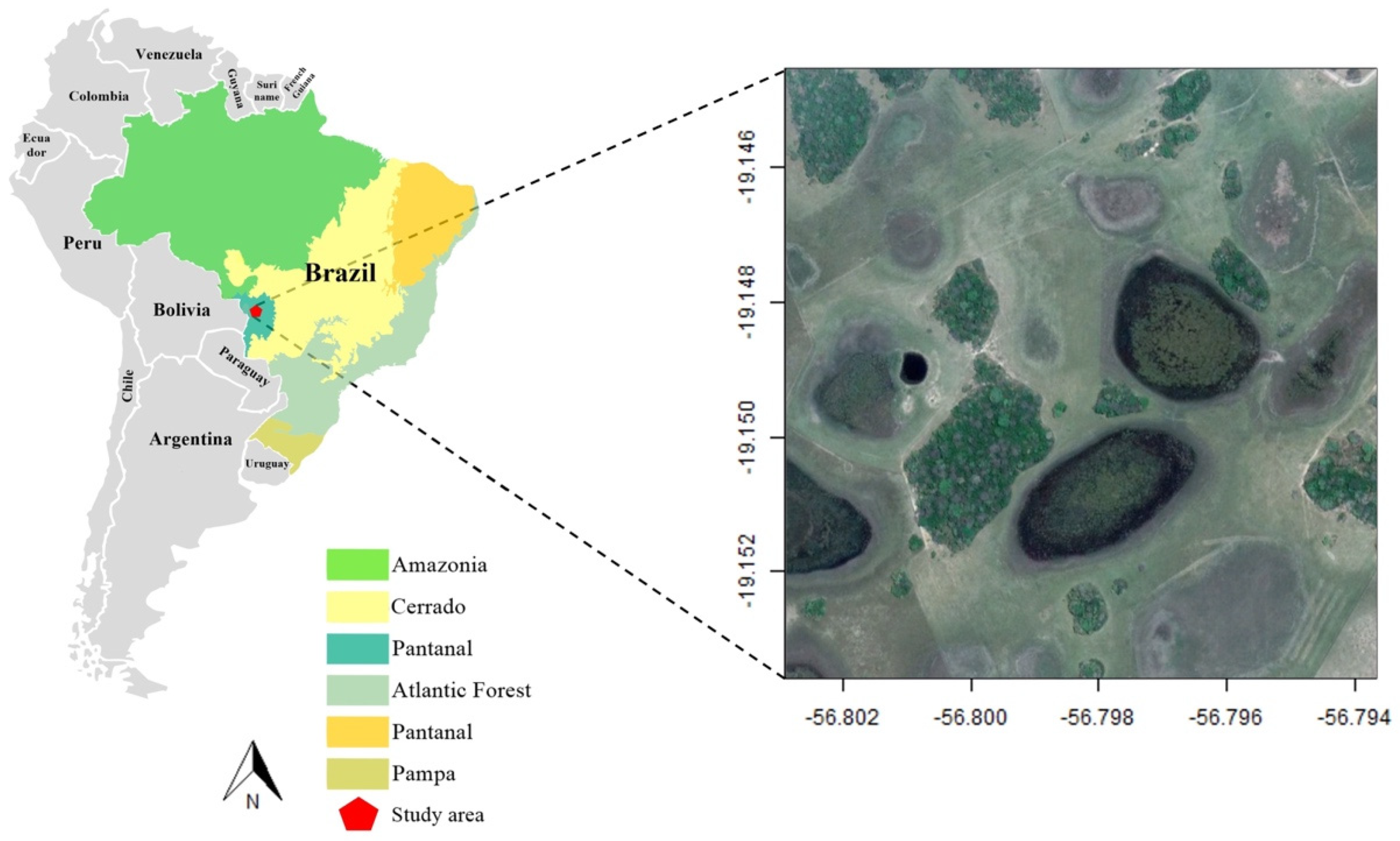 Pathogens 11 01205 g001