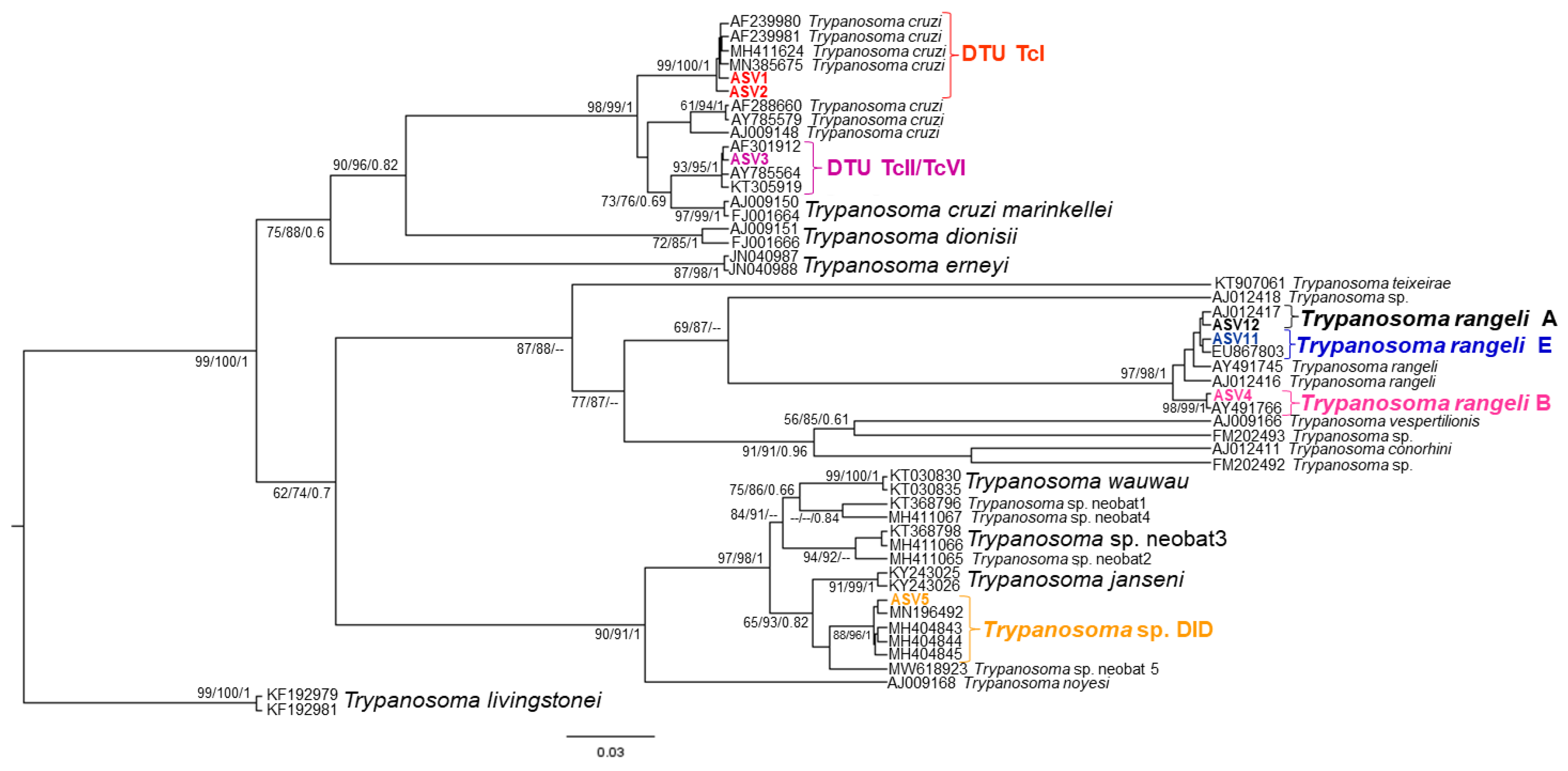 Pathogens 11 01205 g002