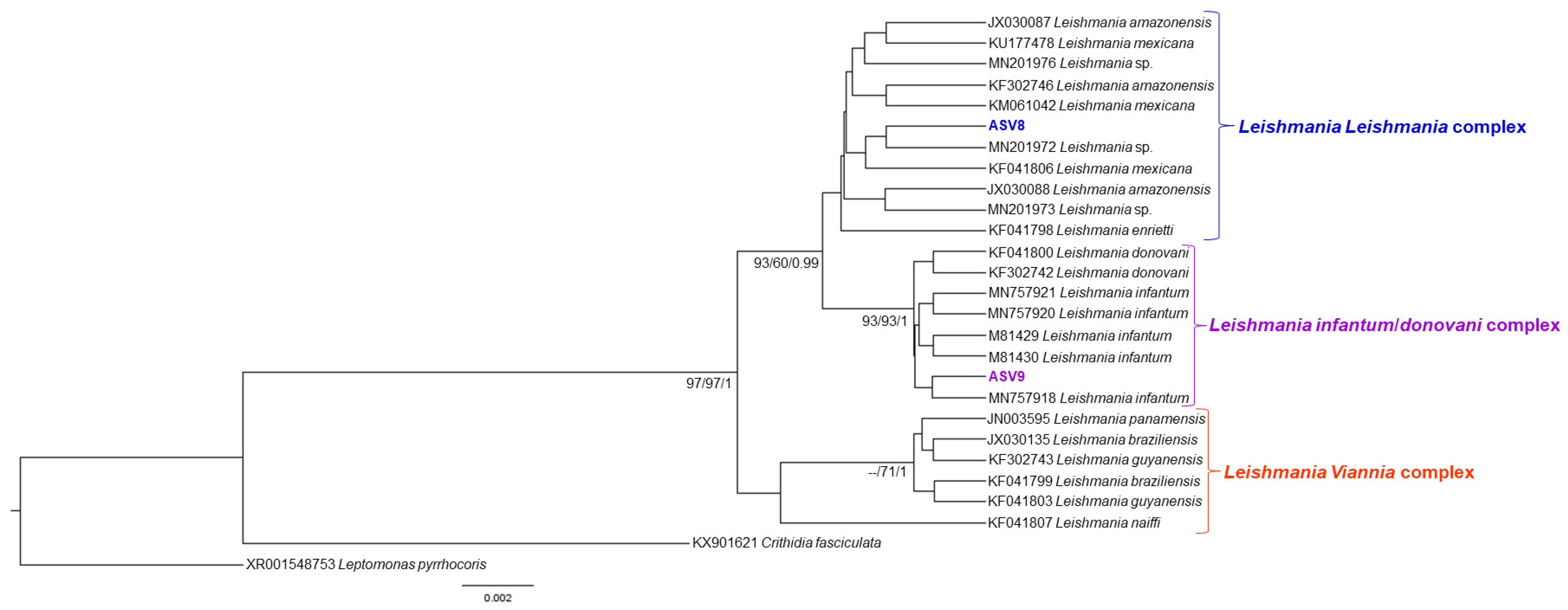 Pathogens 11 01205 g004