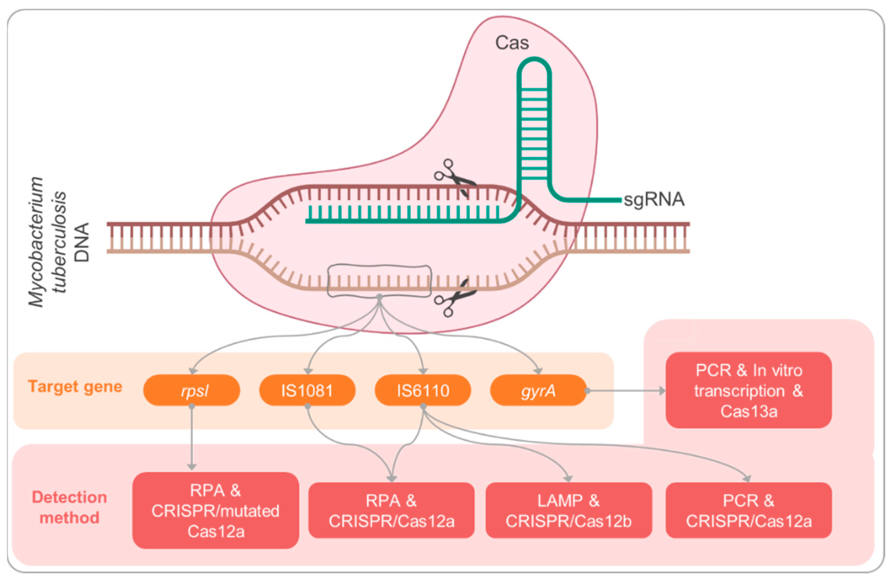 Pathogens 11 01211 g001 Pathogens 11 01211 g001