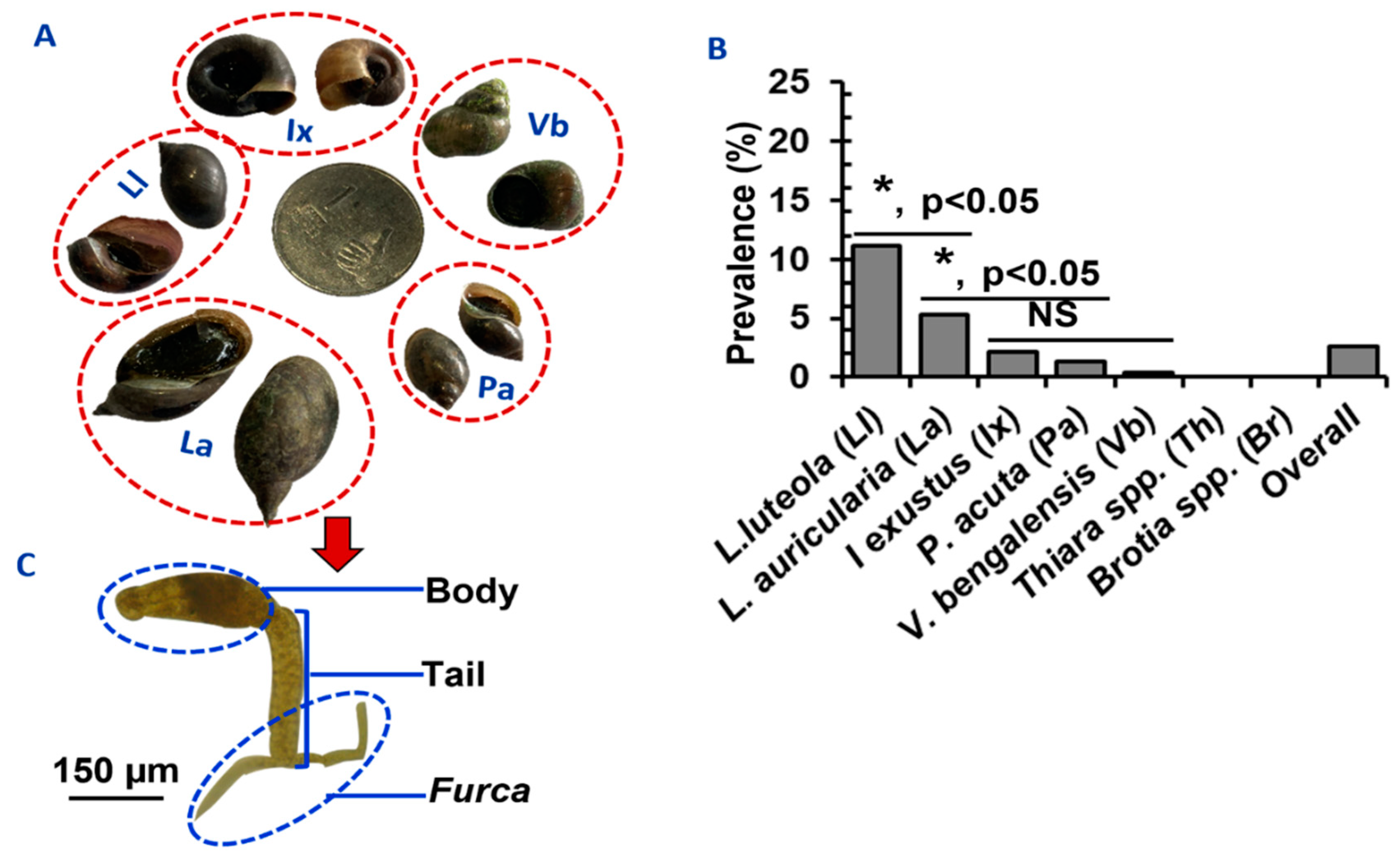 Pathogens 11 01213 g002