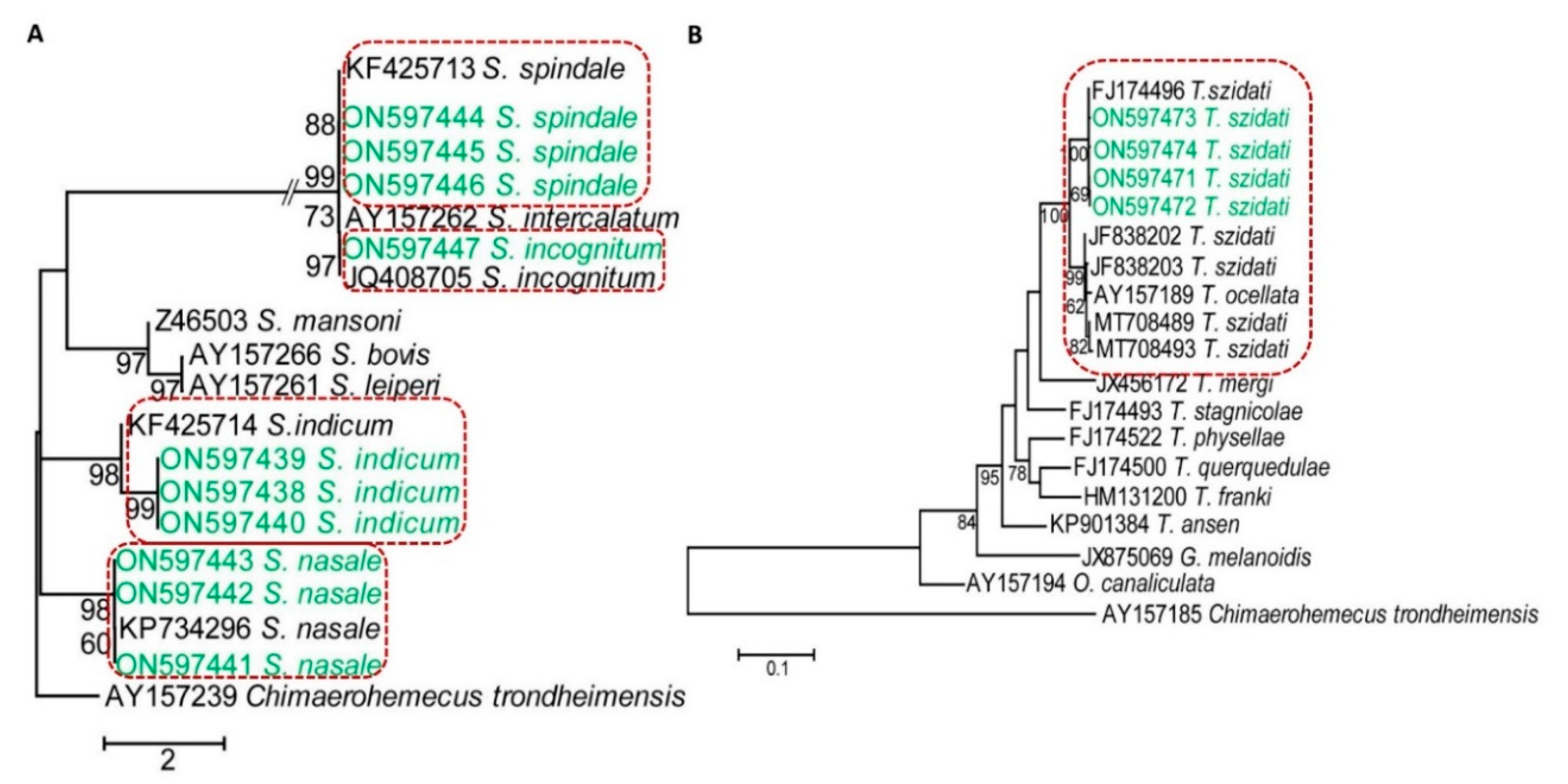 Pathogens 11 01213 g004
