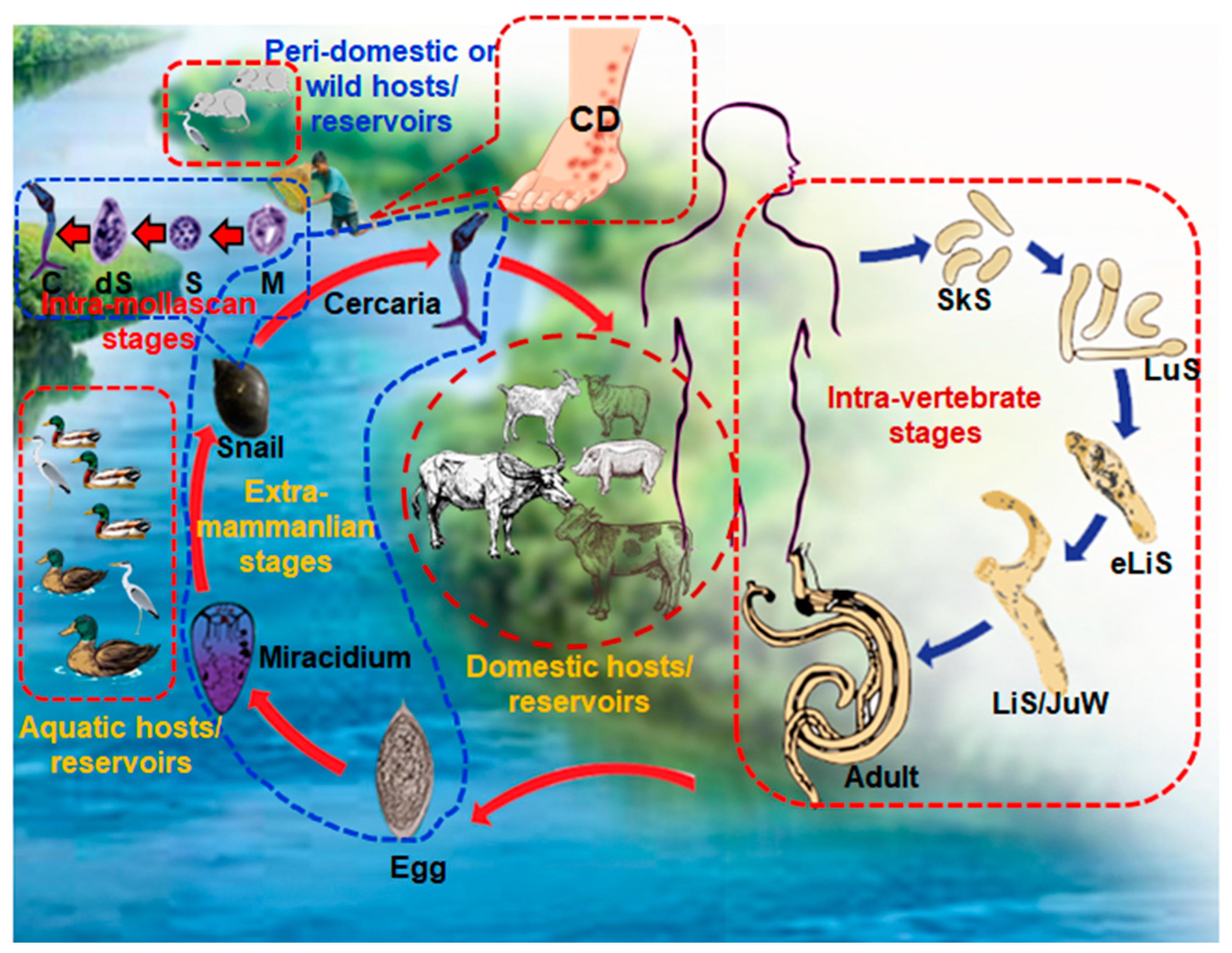 Pathogens 11 01213 g006