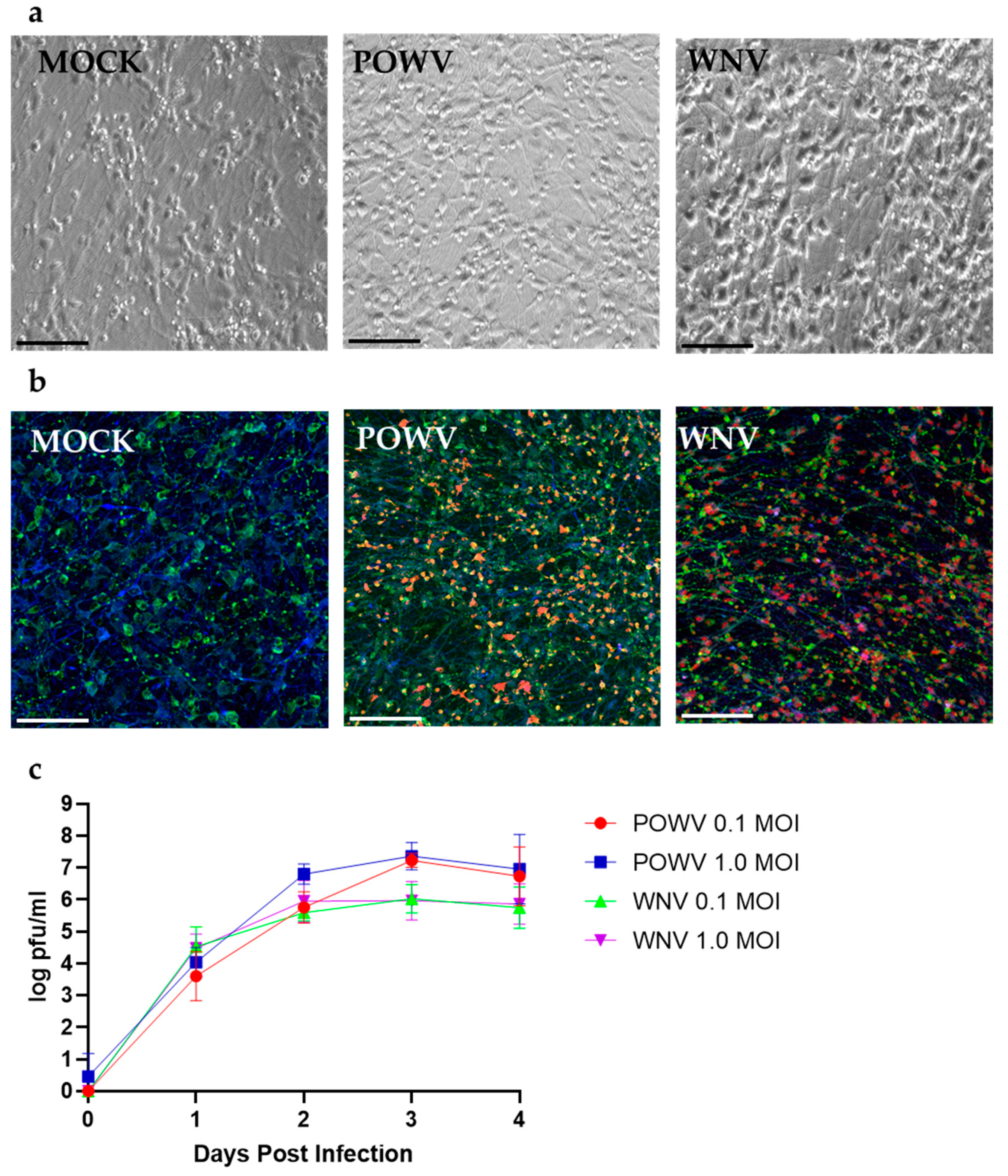 Pathogens 11 01218 g001
