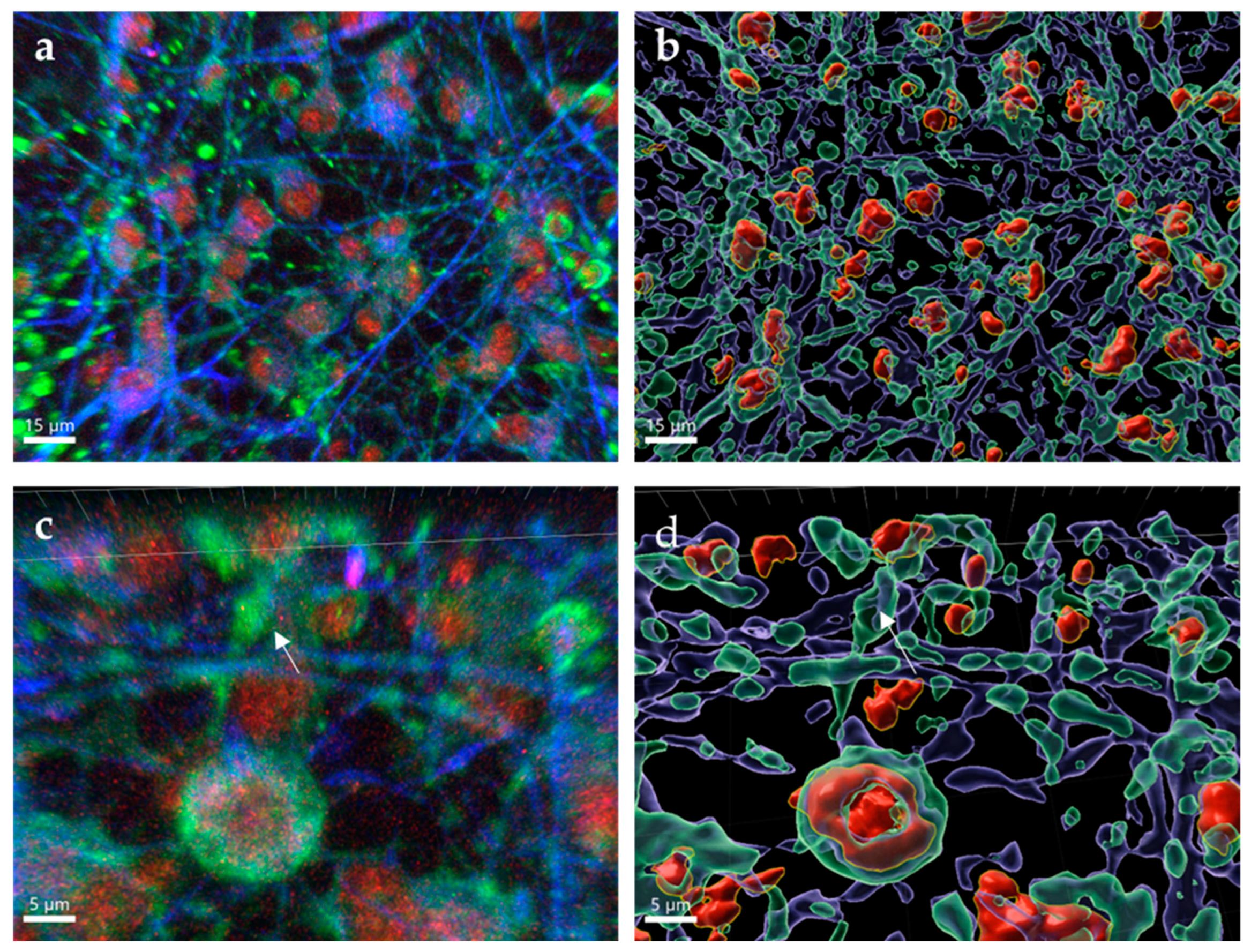 Pathogens 11 01218 g004