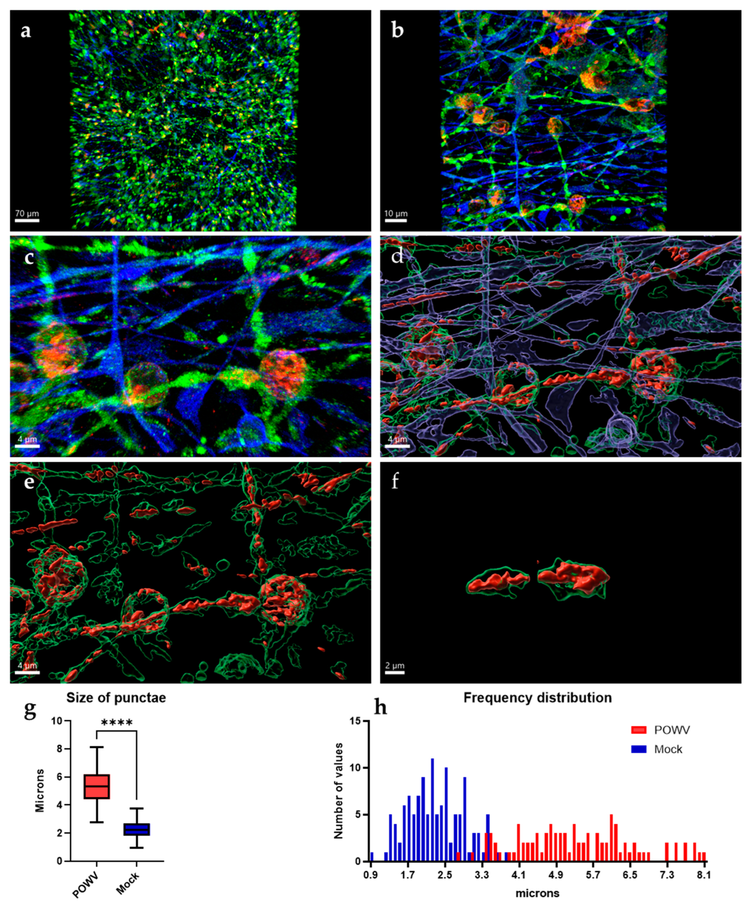 Pathogens 11 01218 g005