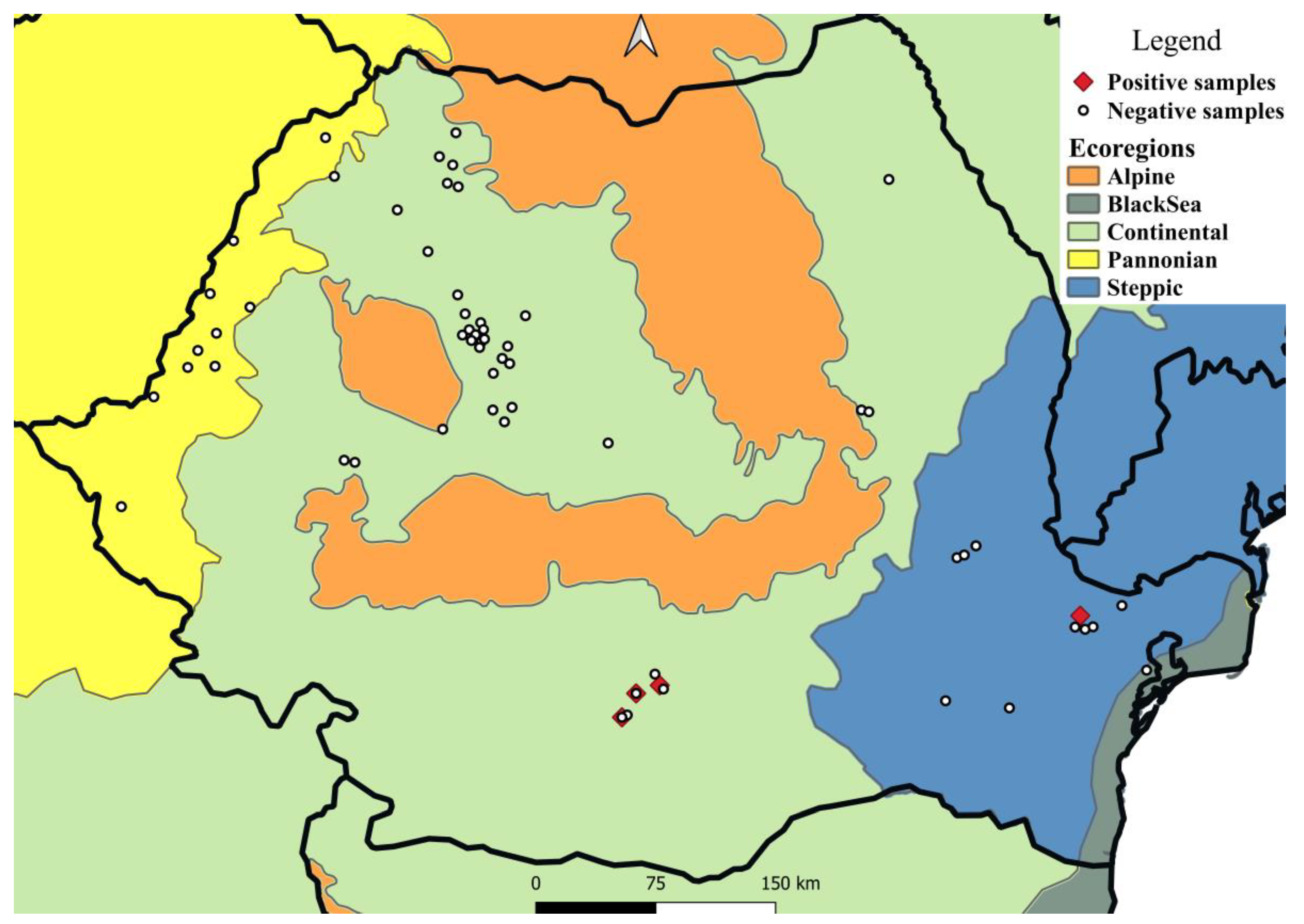 Pathogens 11 01225 g001
