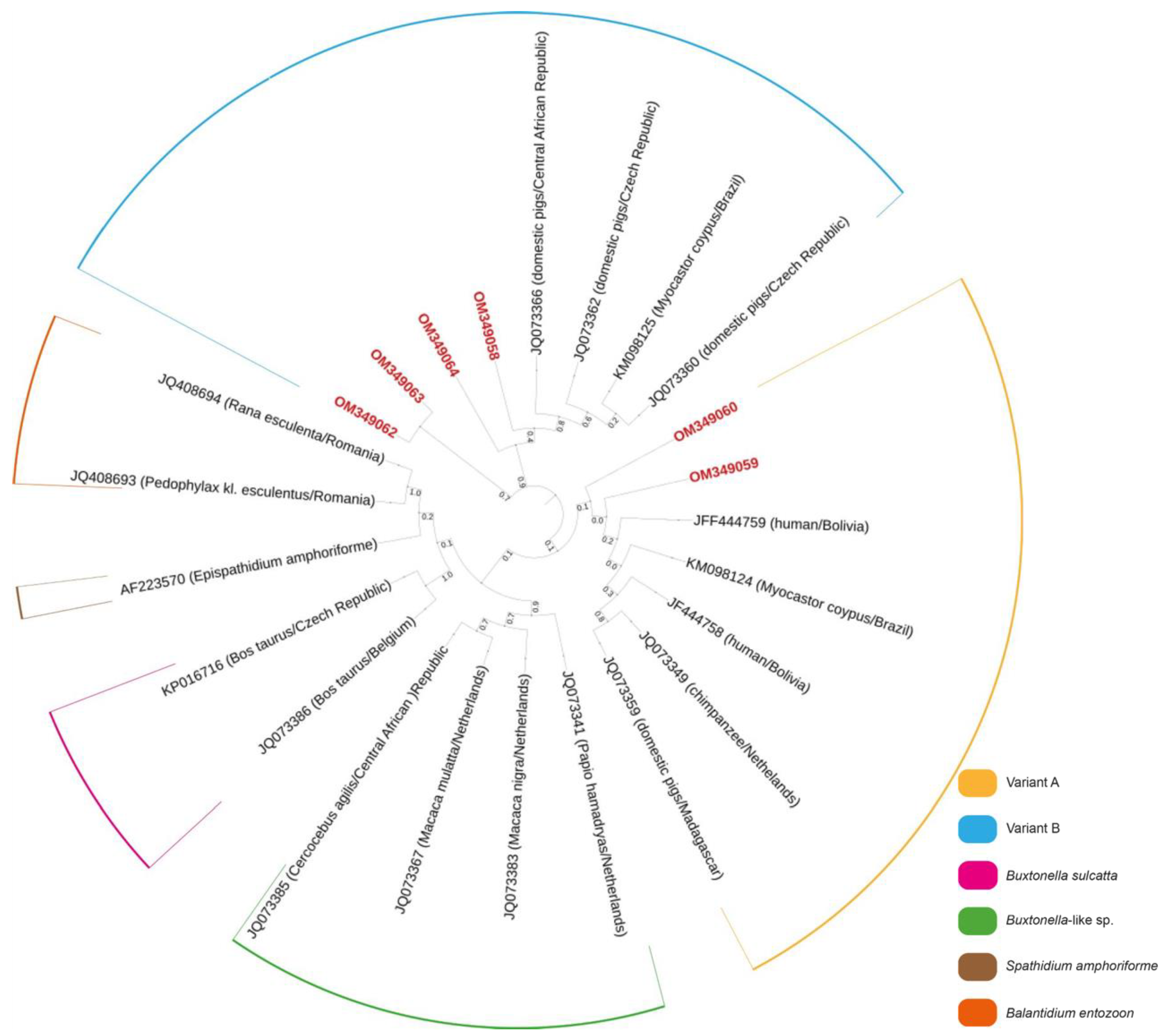 Pathogens 11 01242 g001