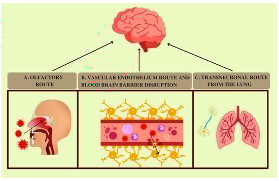 Pathogens 11 01256 g001 Pathogens 11 01256 g001