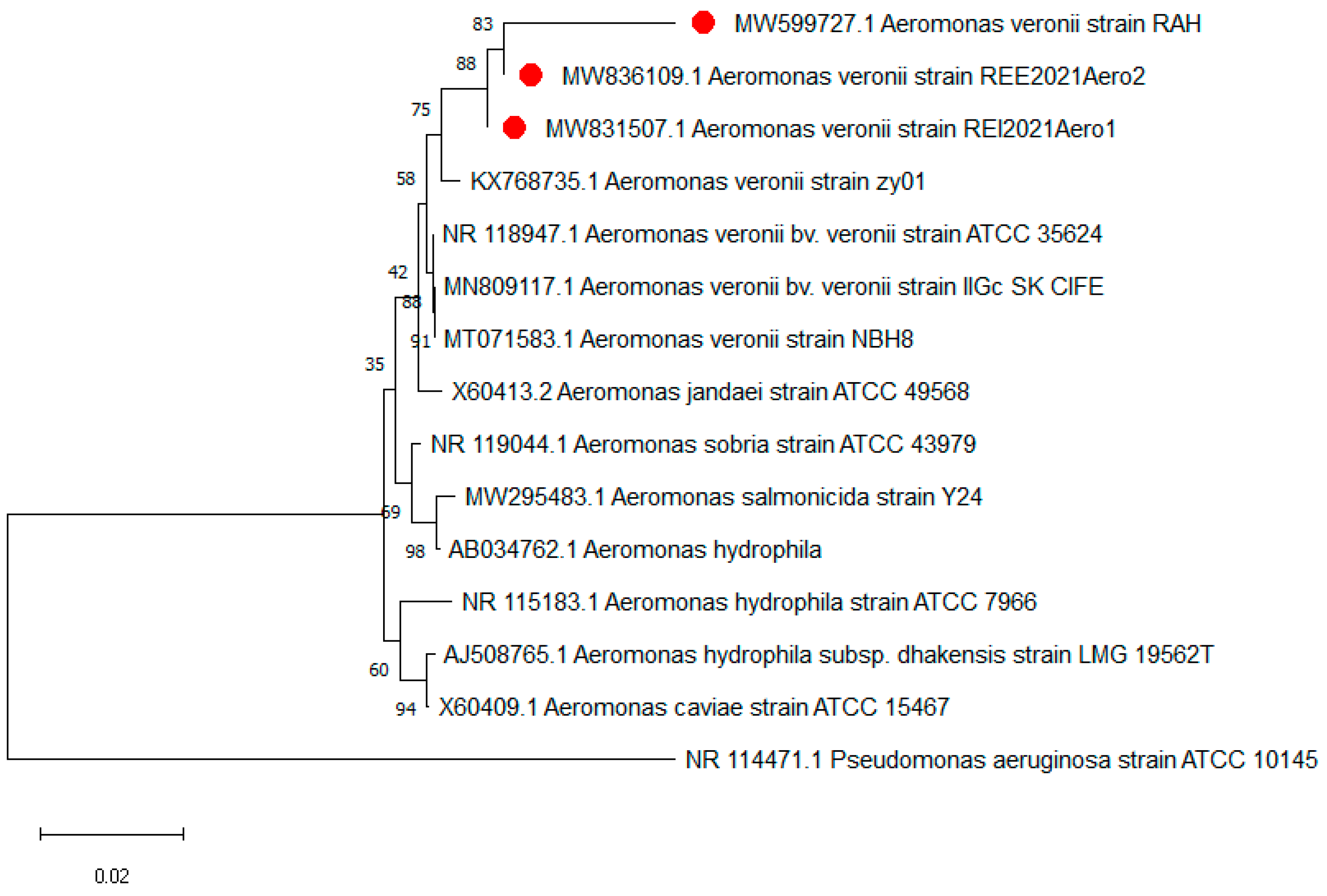 Pathogens 11 01262 g003