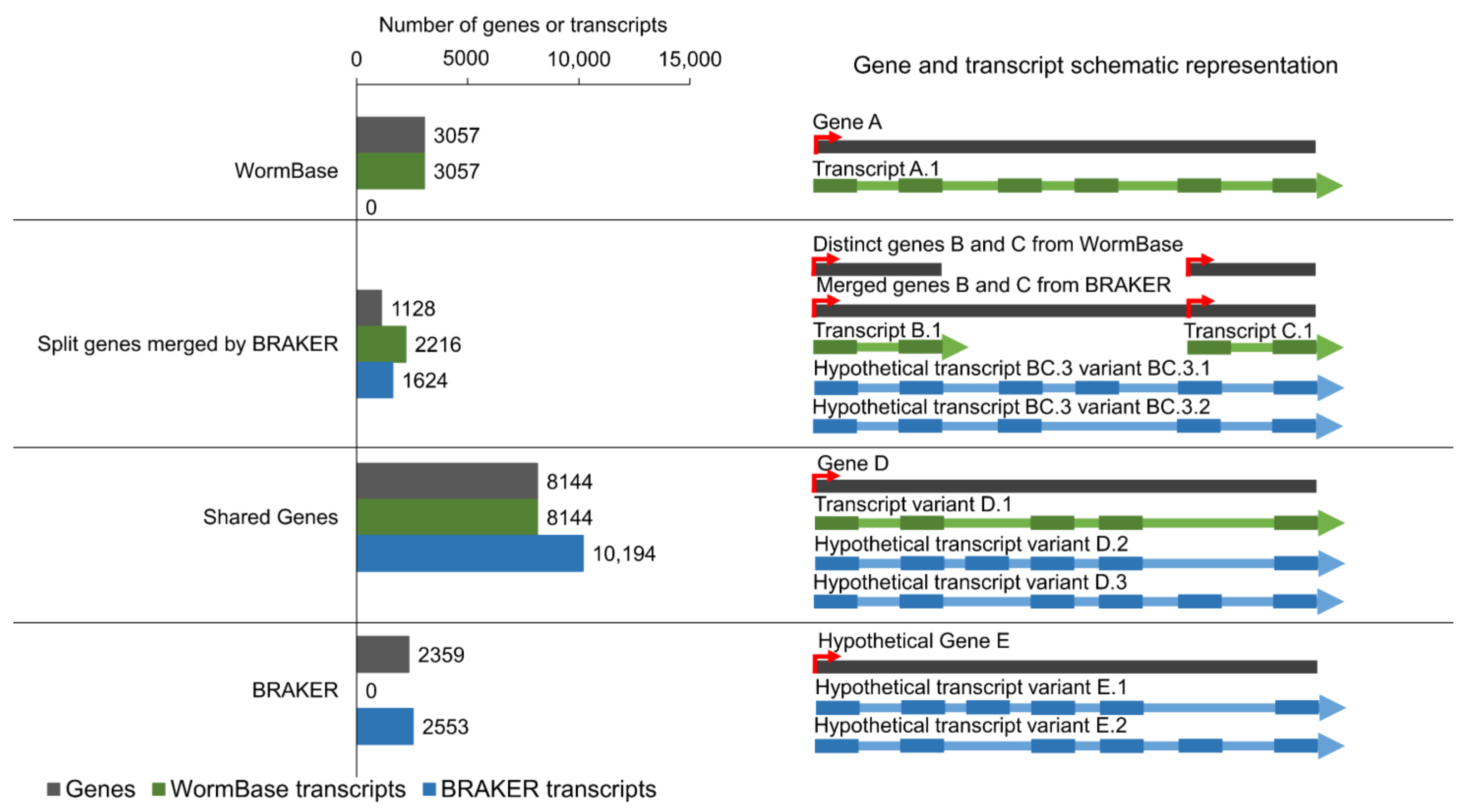 Pathogens 11 01273 g001