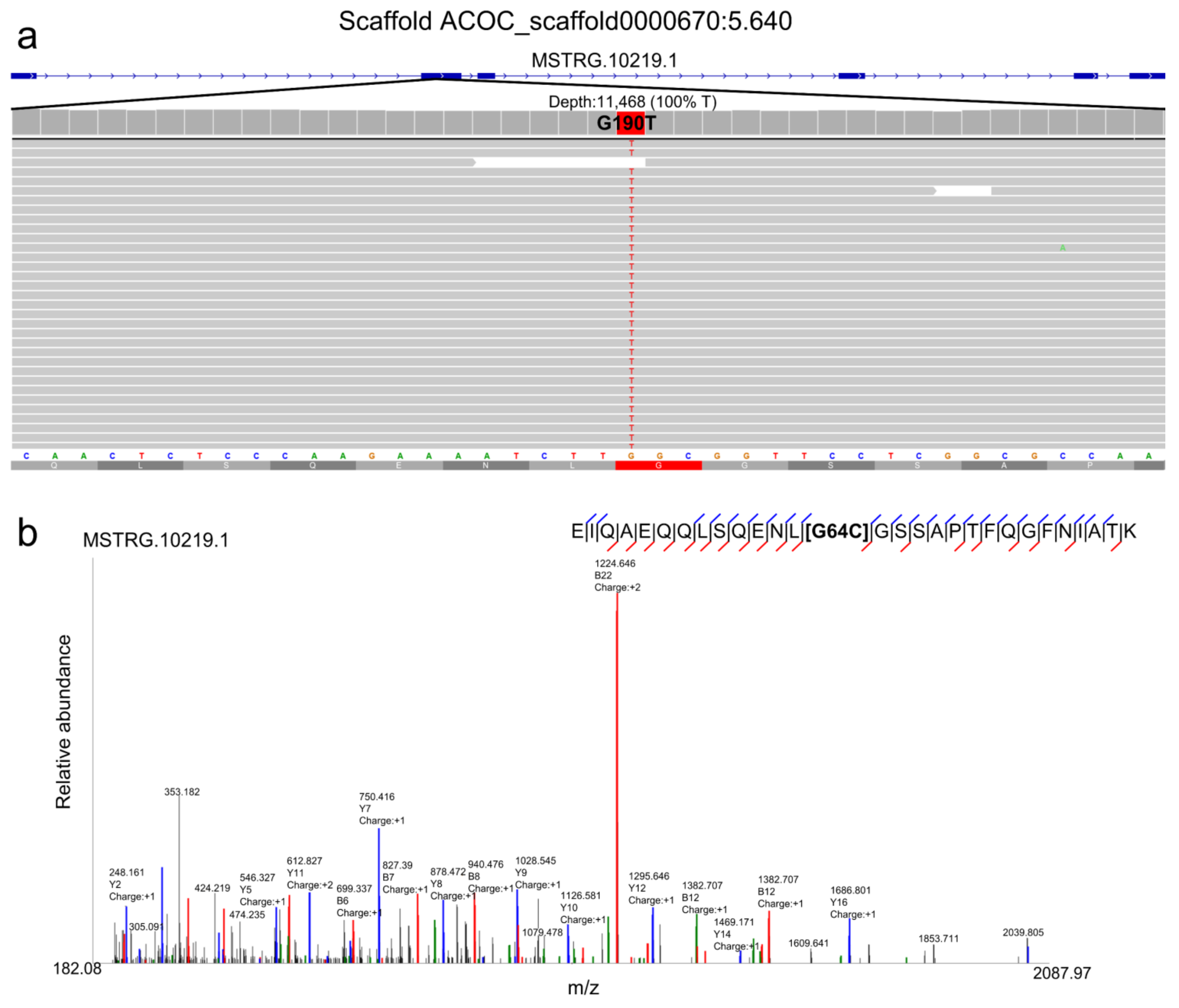Pathogens 11 01273 g003