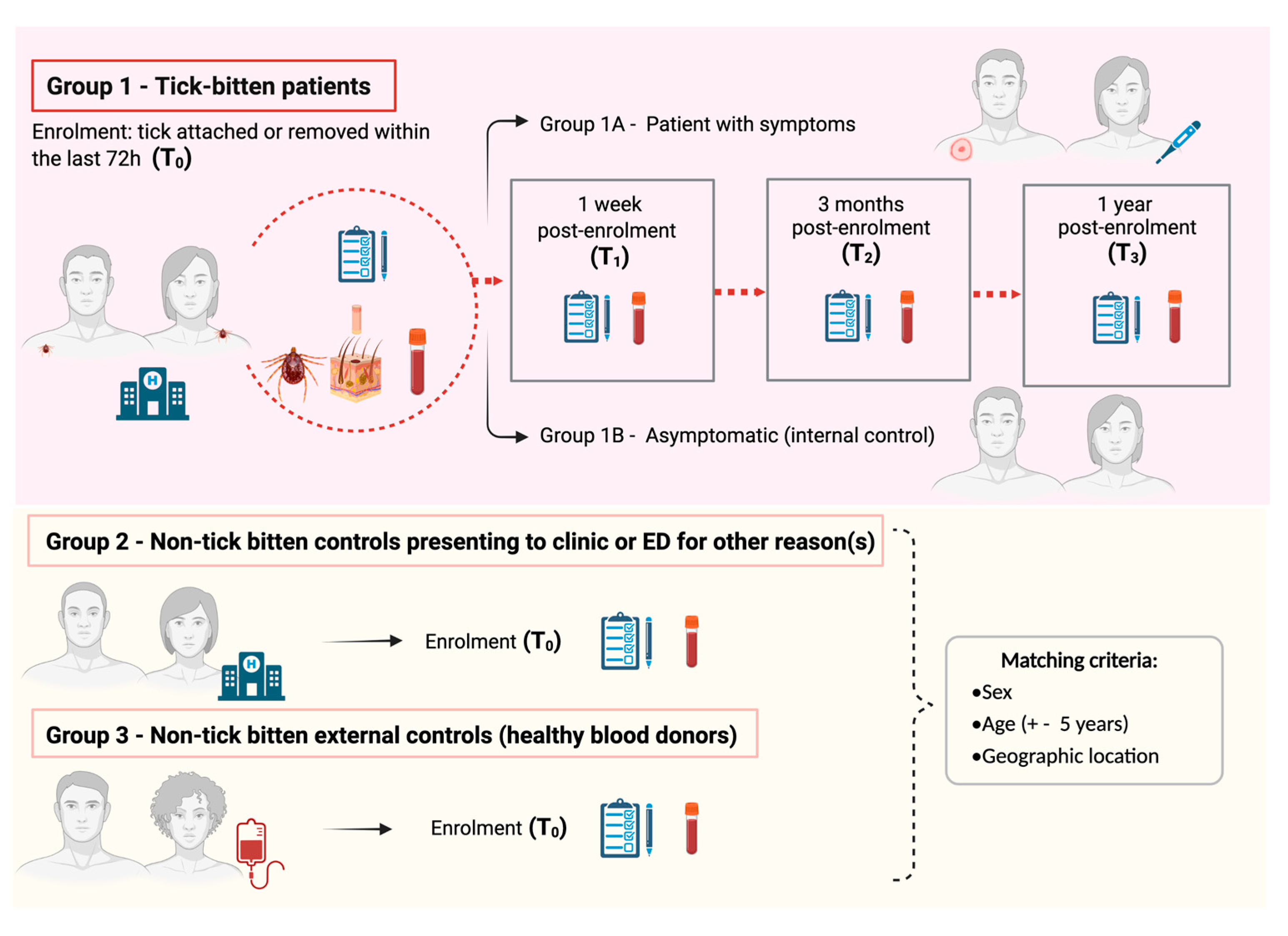 Pathogens 11 01290 g001