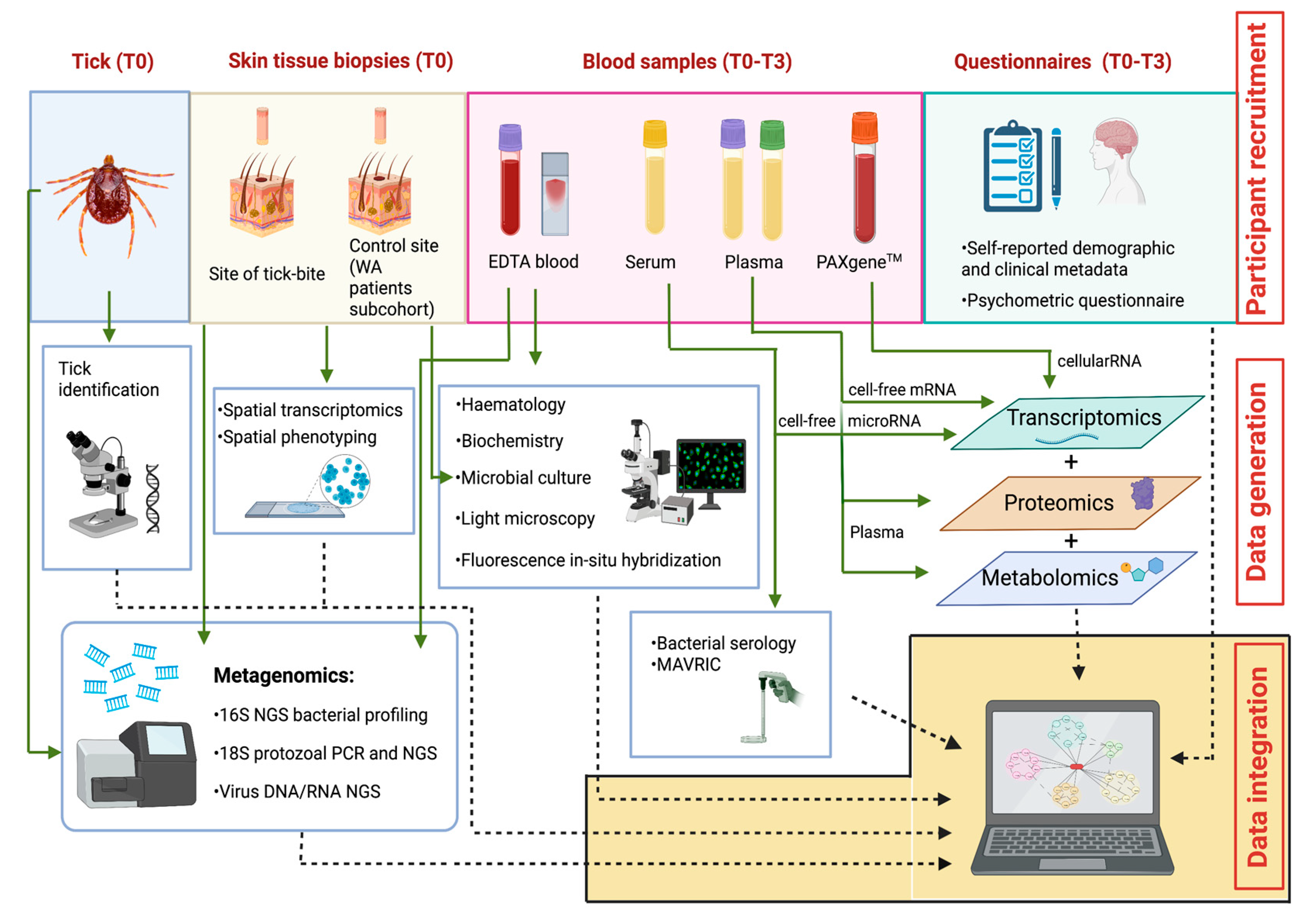 Pathogens 11 01290 g003