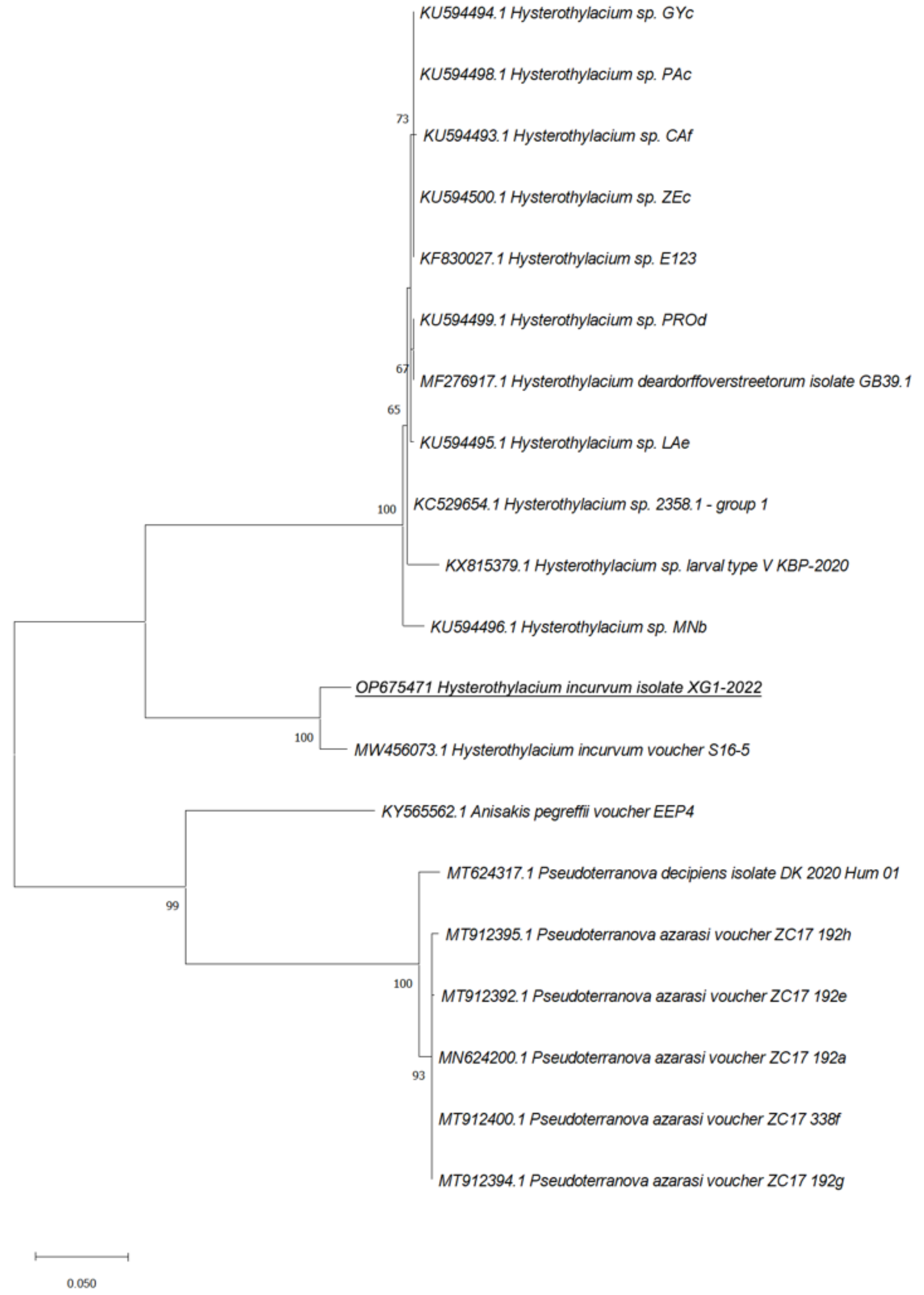 Pathogens 11 01315 g002