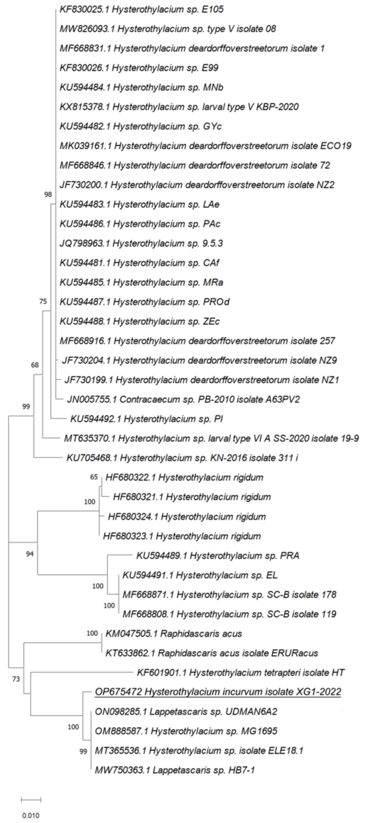 Pathogens 11 01315 g003