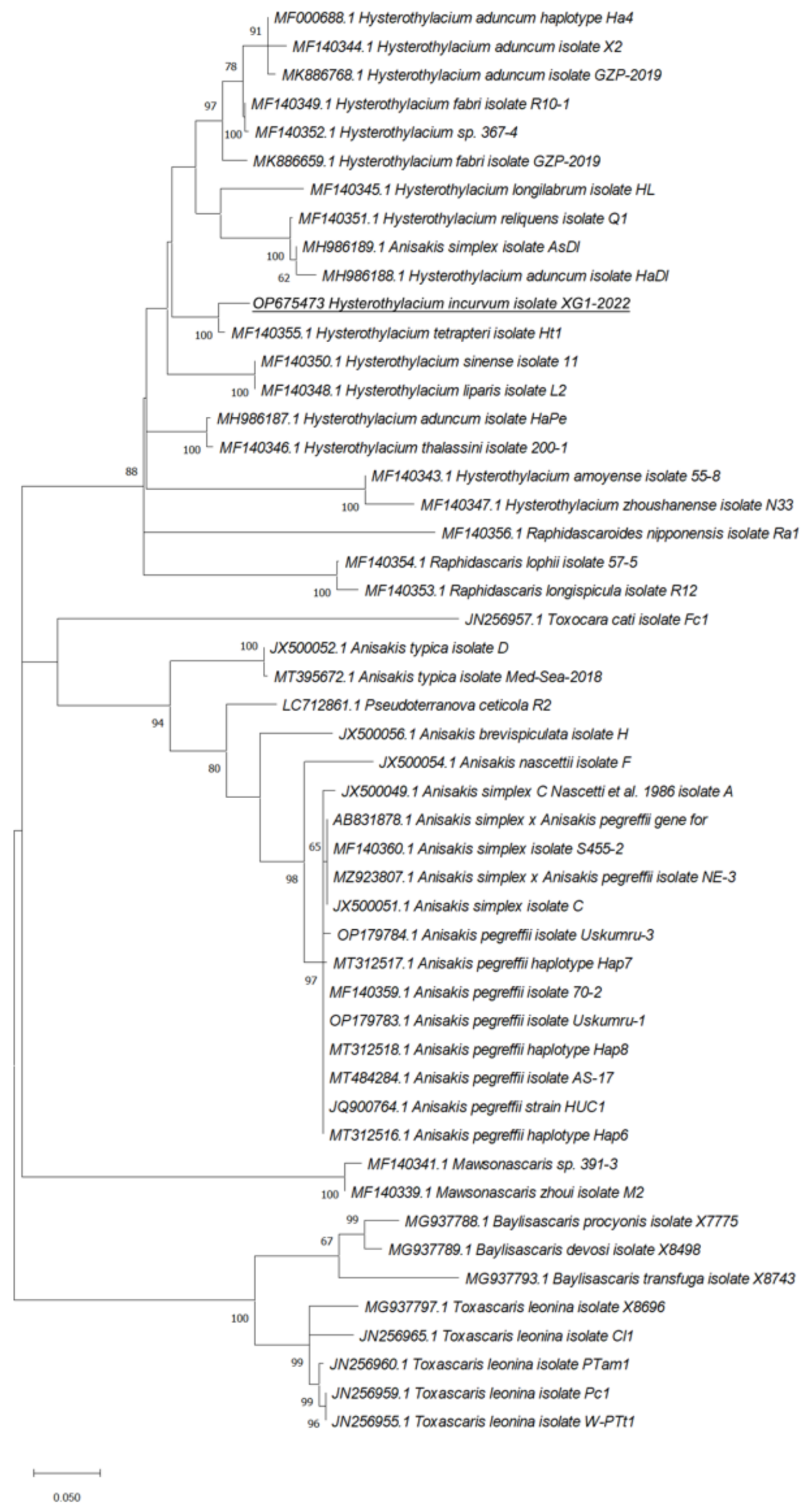 Pathogens 11 01315 g004