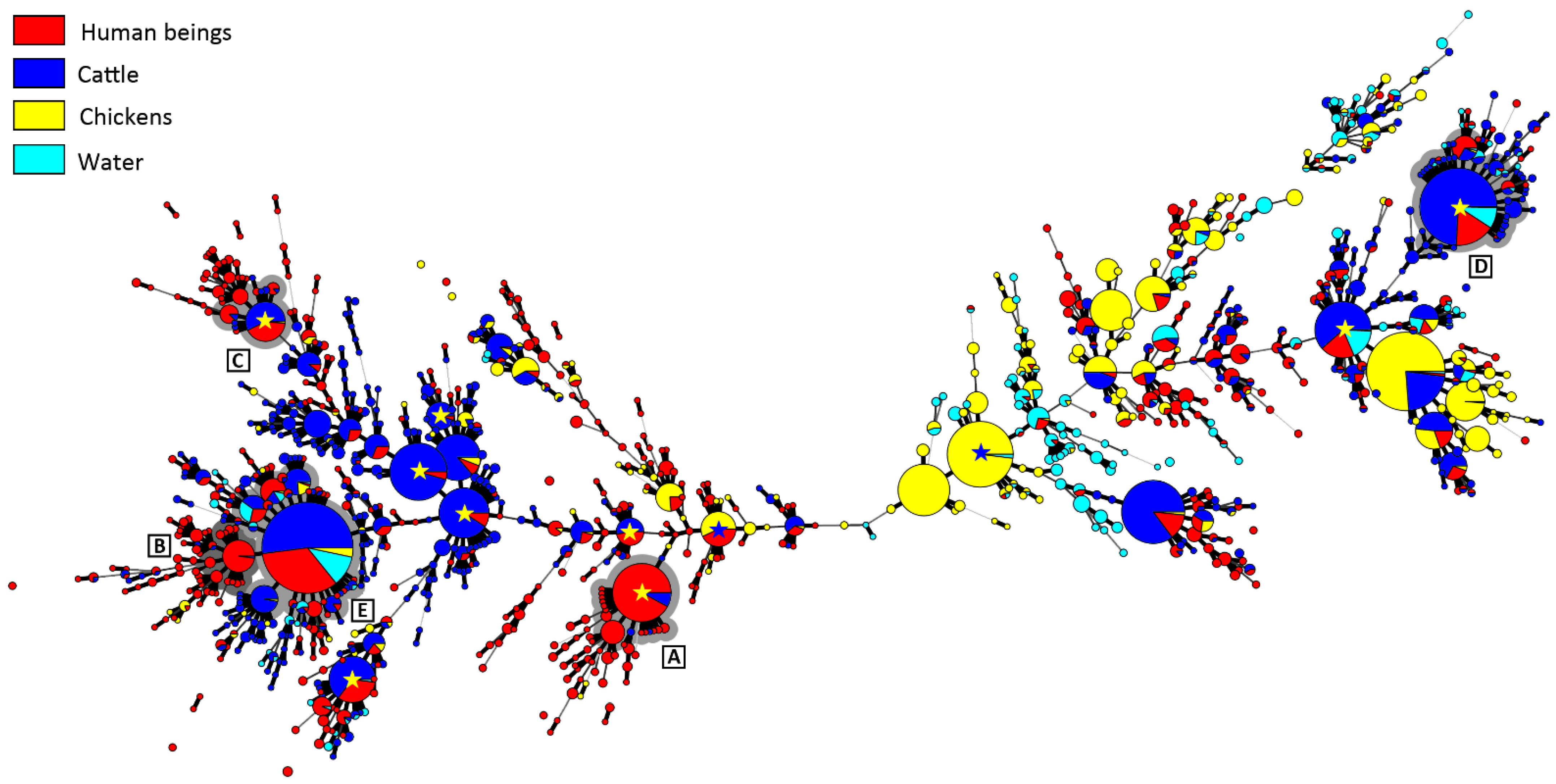 Pathogens 11 01366 g002 Pathogens 11 01366 g002