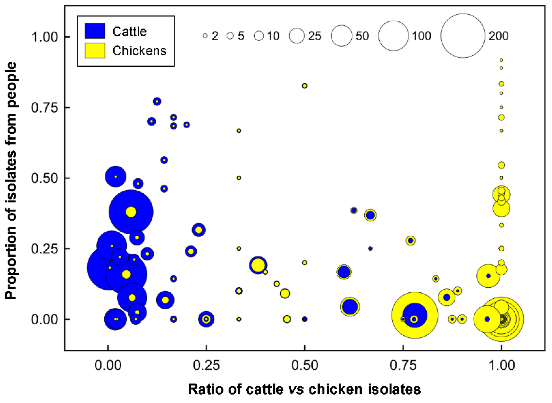 Pathogens 11 01366 g004 Pathogens 11 01366 g004