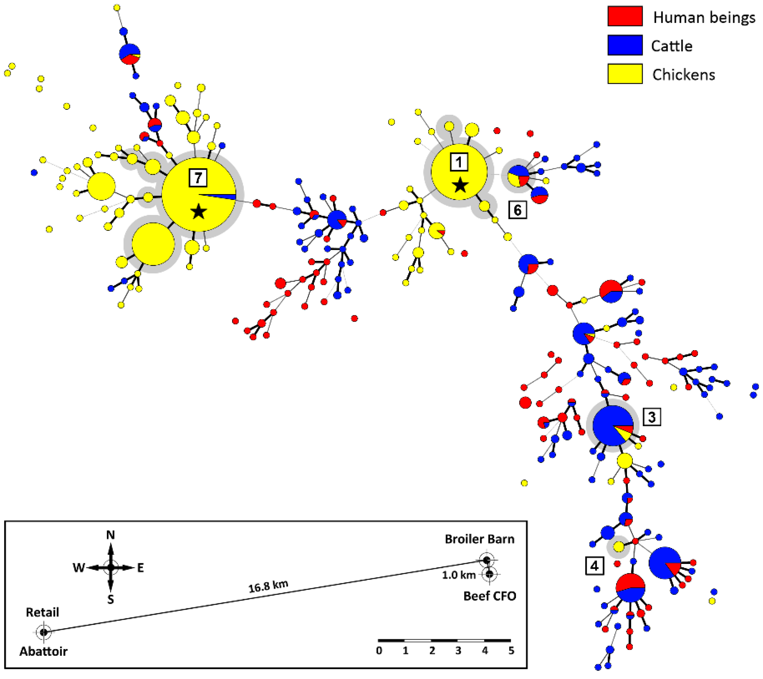 Pathogens 11 01366 g008 Pathogens 11 01366 g008
