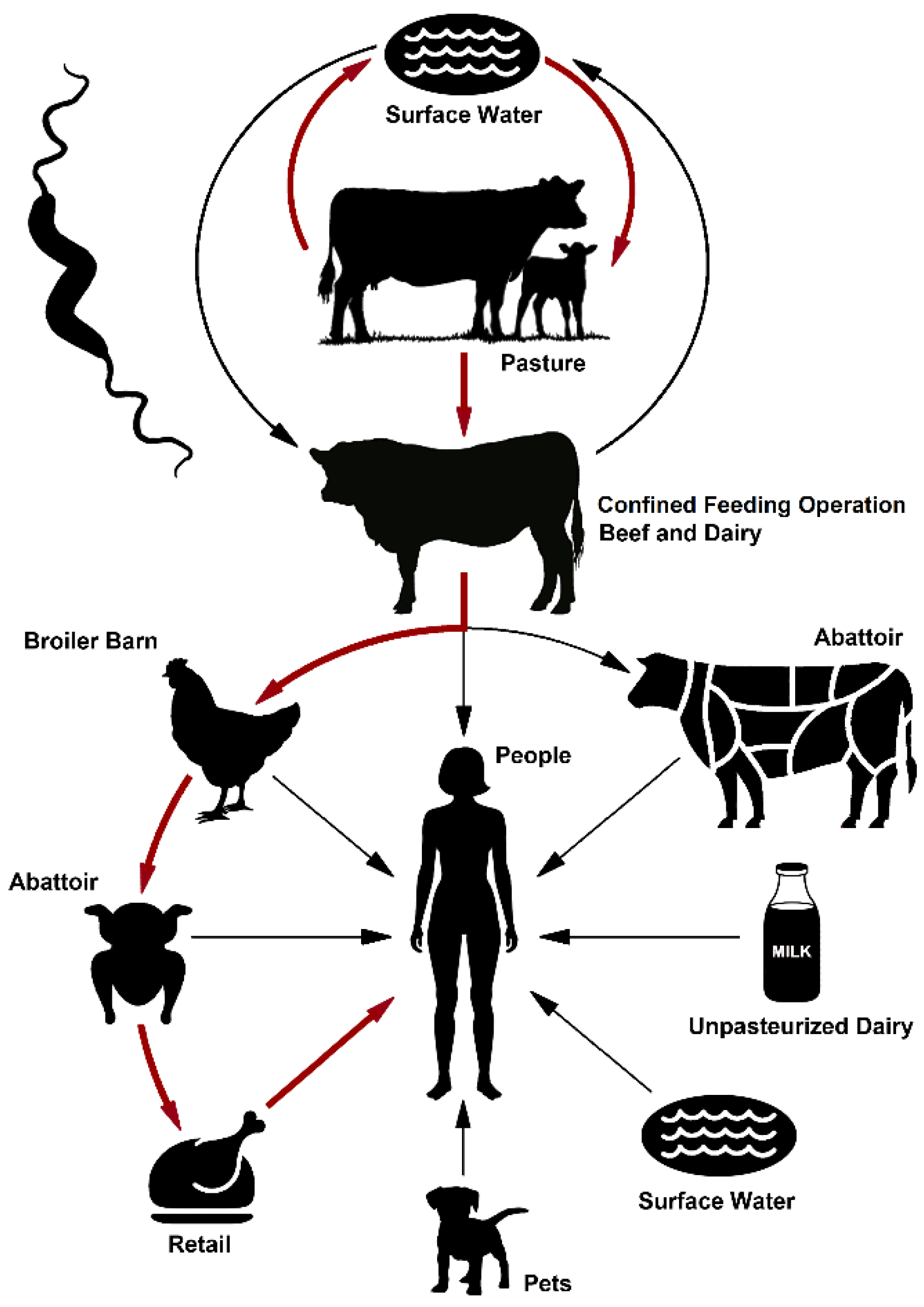 Pathogens 11 01366 g009 Pathogens 11 01366 g009