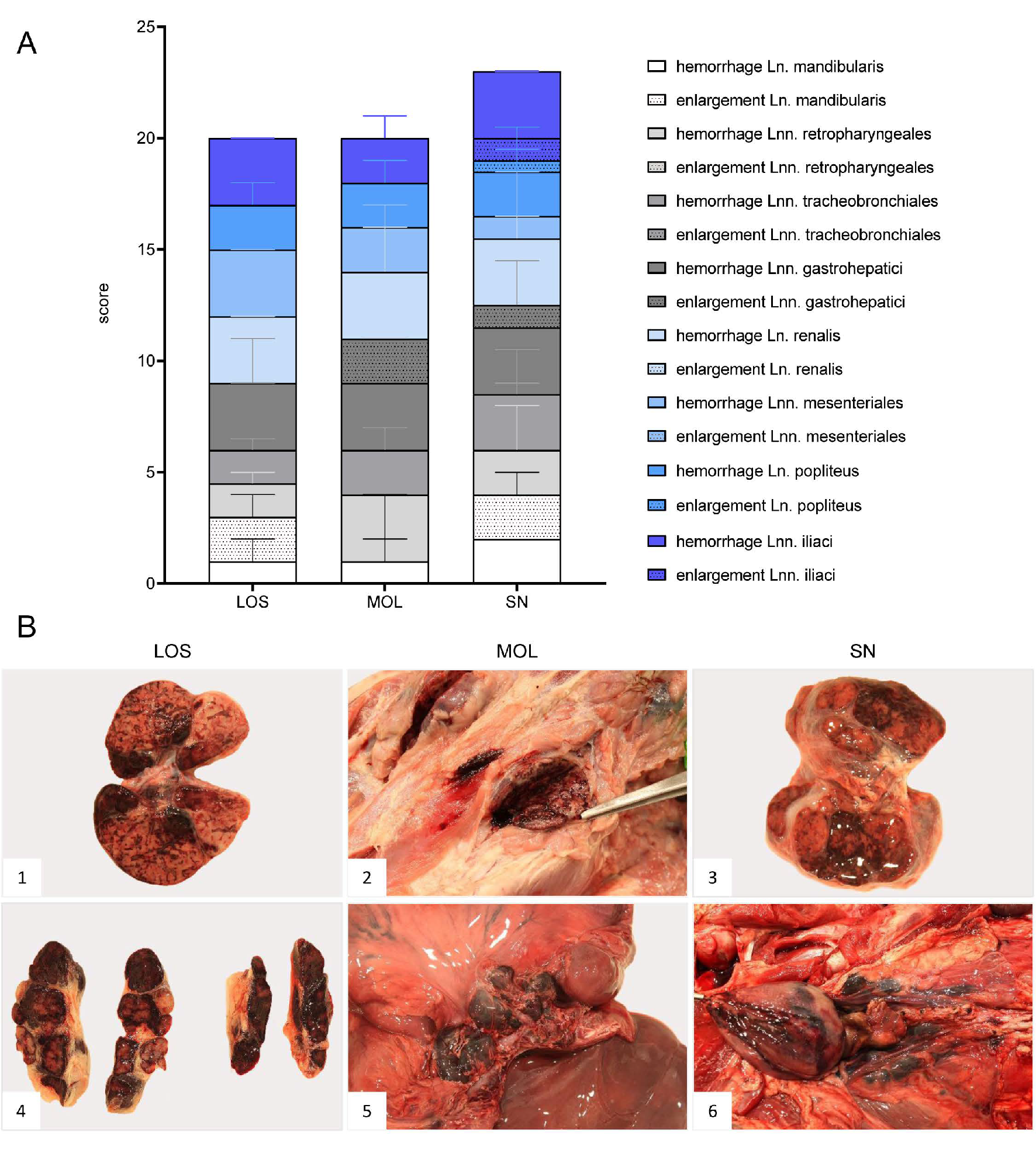 Pathogens 11 01386 g003 Pathogens 11 01386 g003