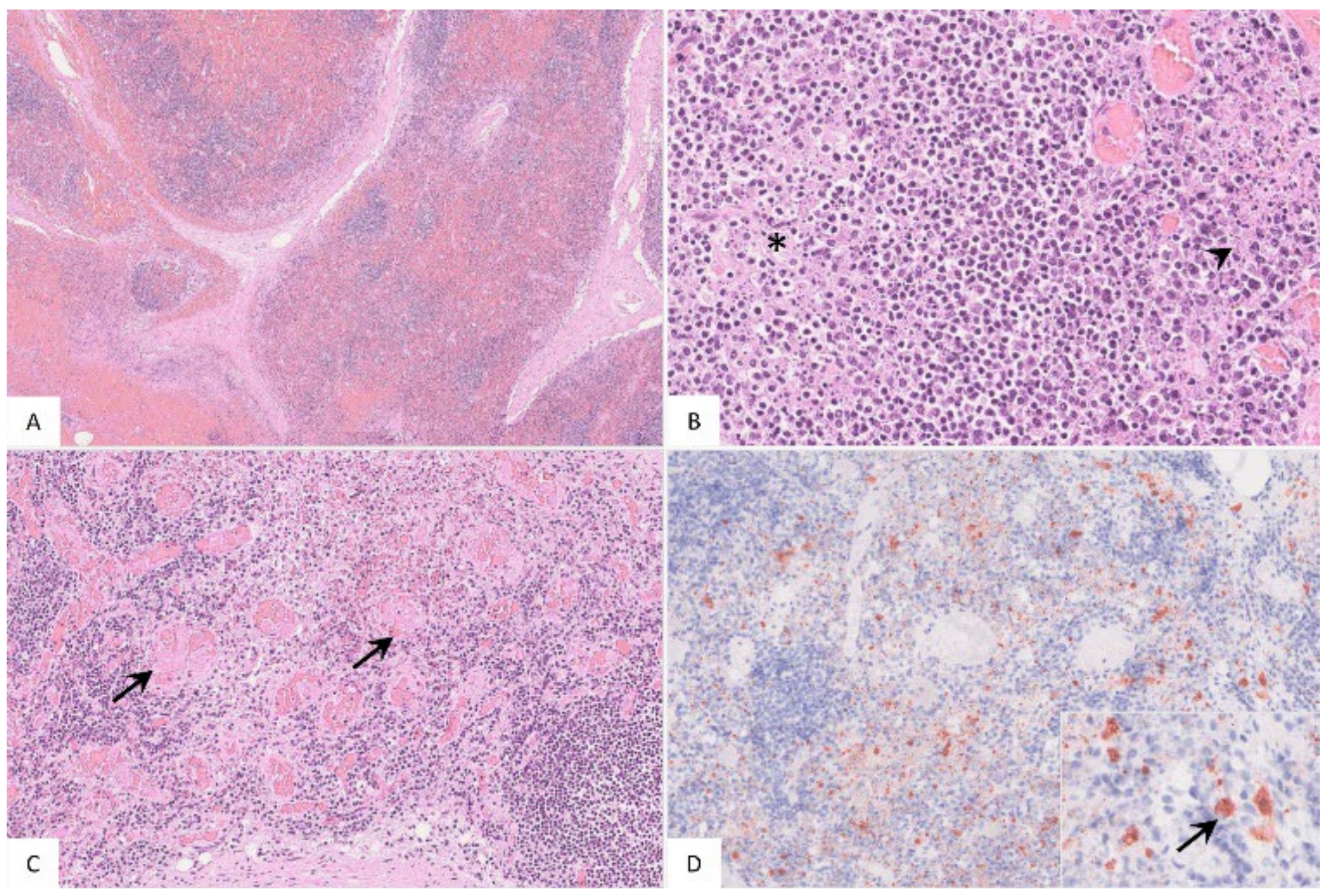Pathogens 11 01386 g004 Pathogens 11 01386 g004